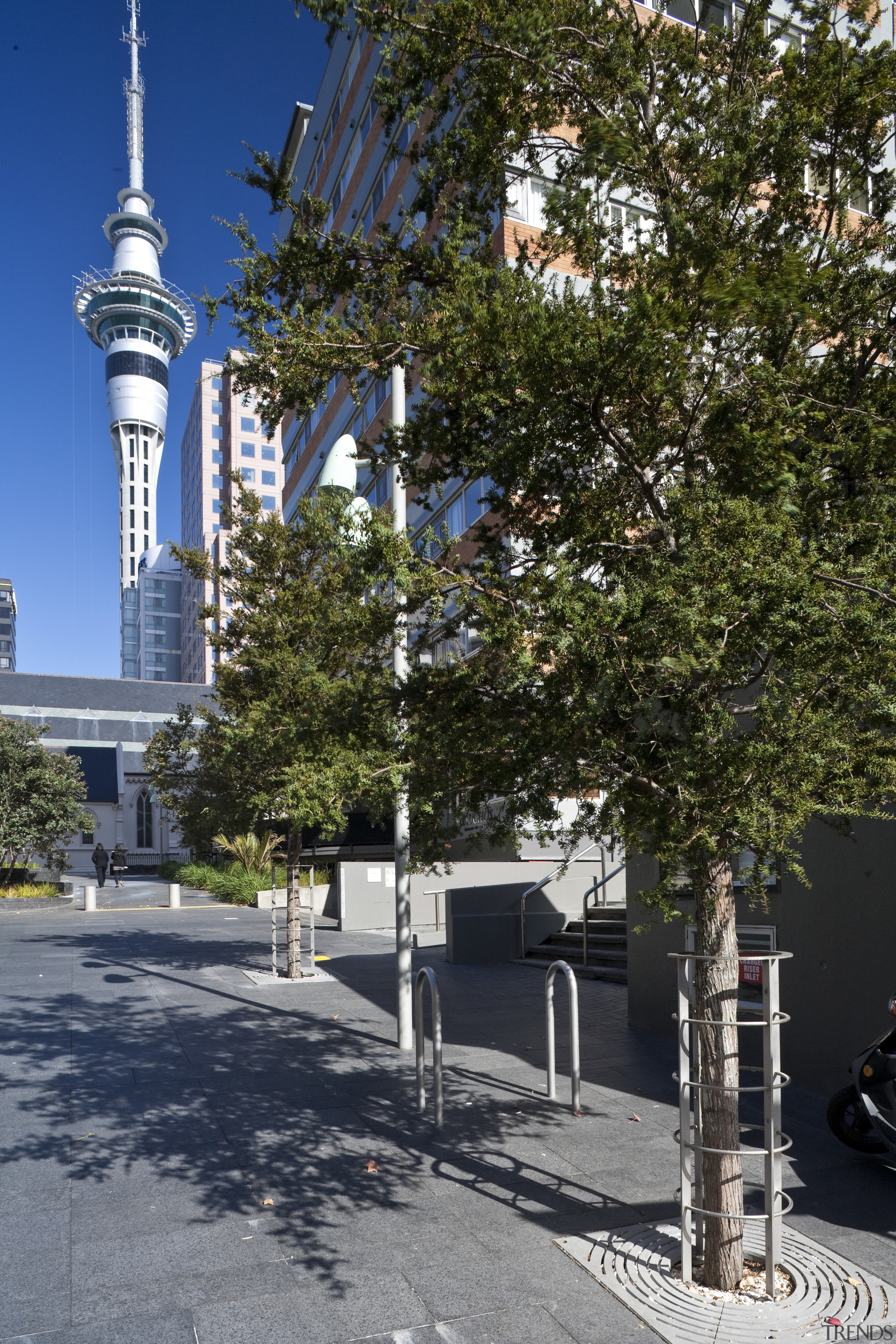 Exterior view of St Patrick's Square which features building, city, tree, brown