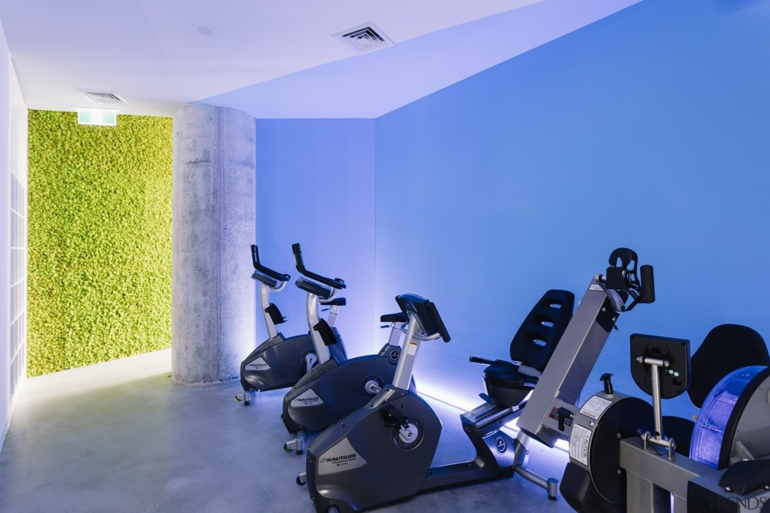 Elements such as the blue warming up zone gym, interior design, room, structure, blue