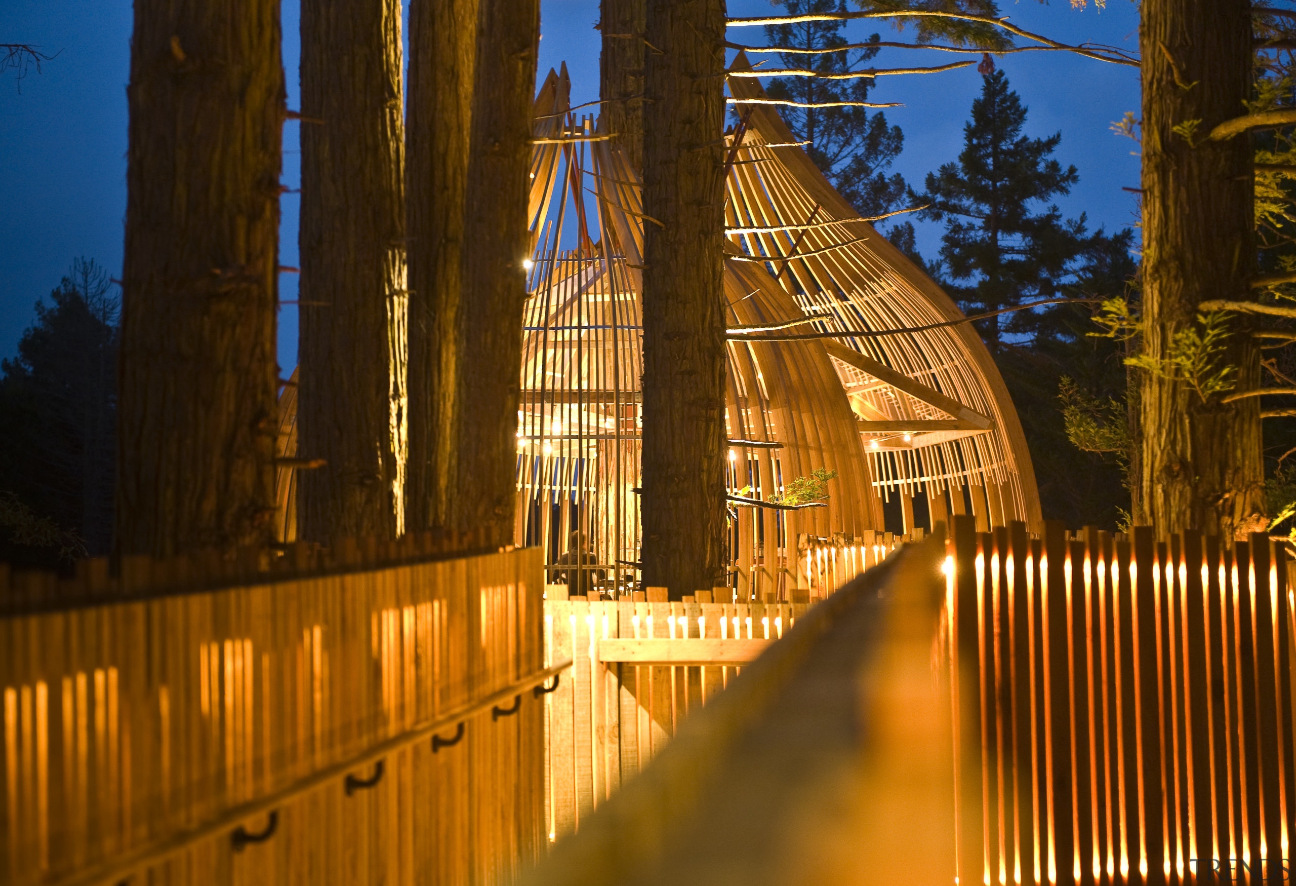 Image of the Yellow Treehouse restaurant which has architecture, building, evening, landmark, light, lighting, night, reflection, sky, sunlight, tourist attraction, tree, wood, brown