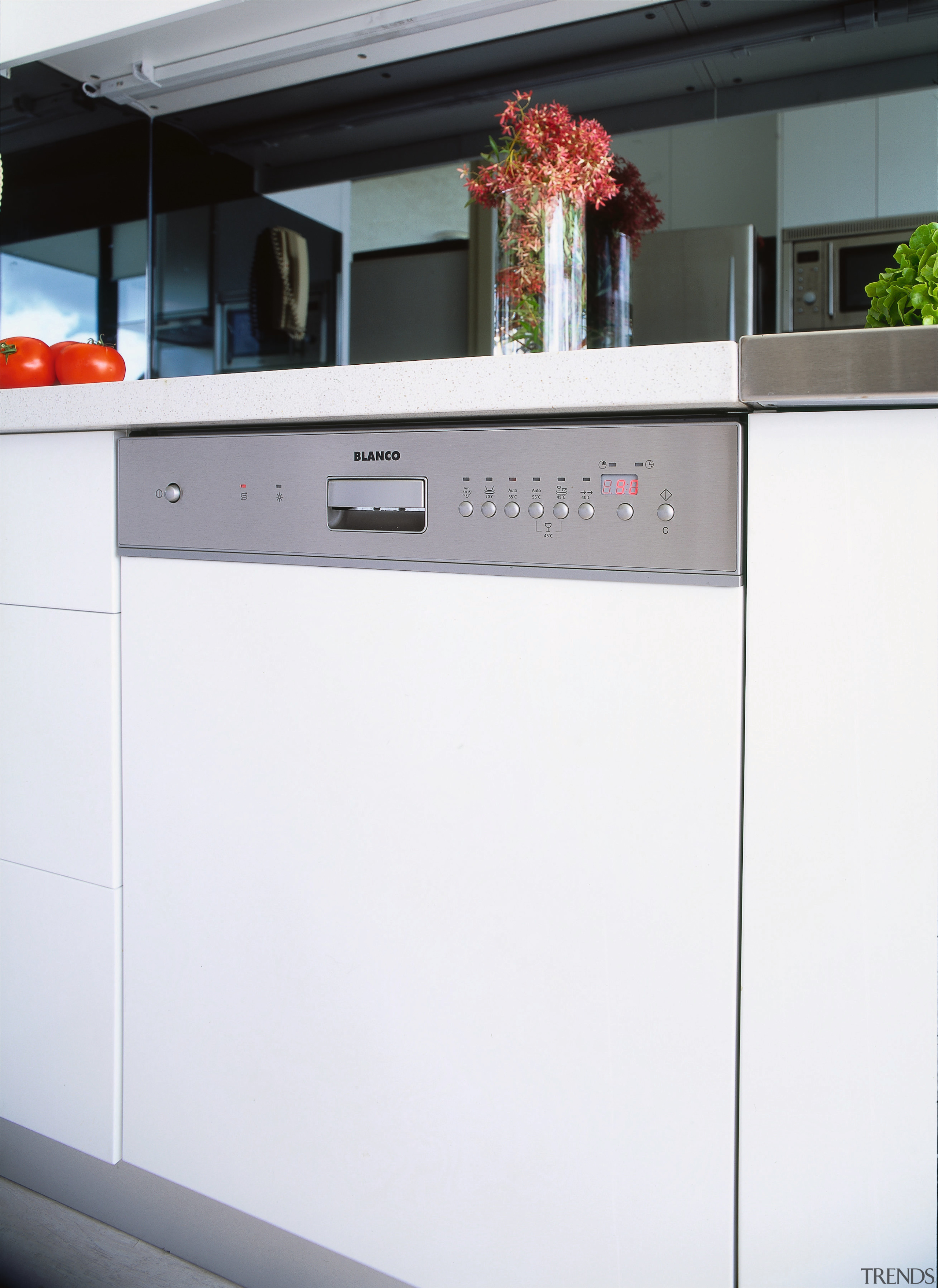 view of the Blanco dishwasher - view of home appliance, kitchen, kitchen appliance, kitchen stove, major appliance, product, product design, white