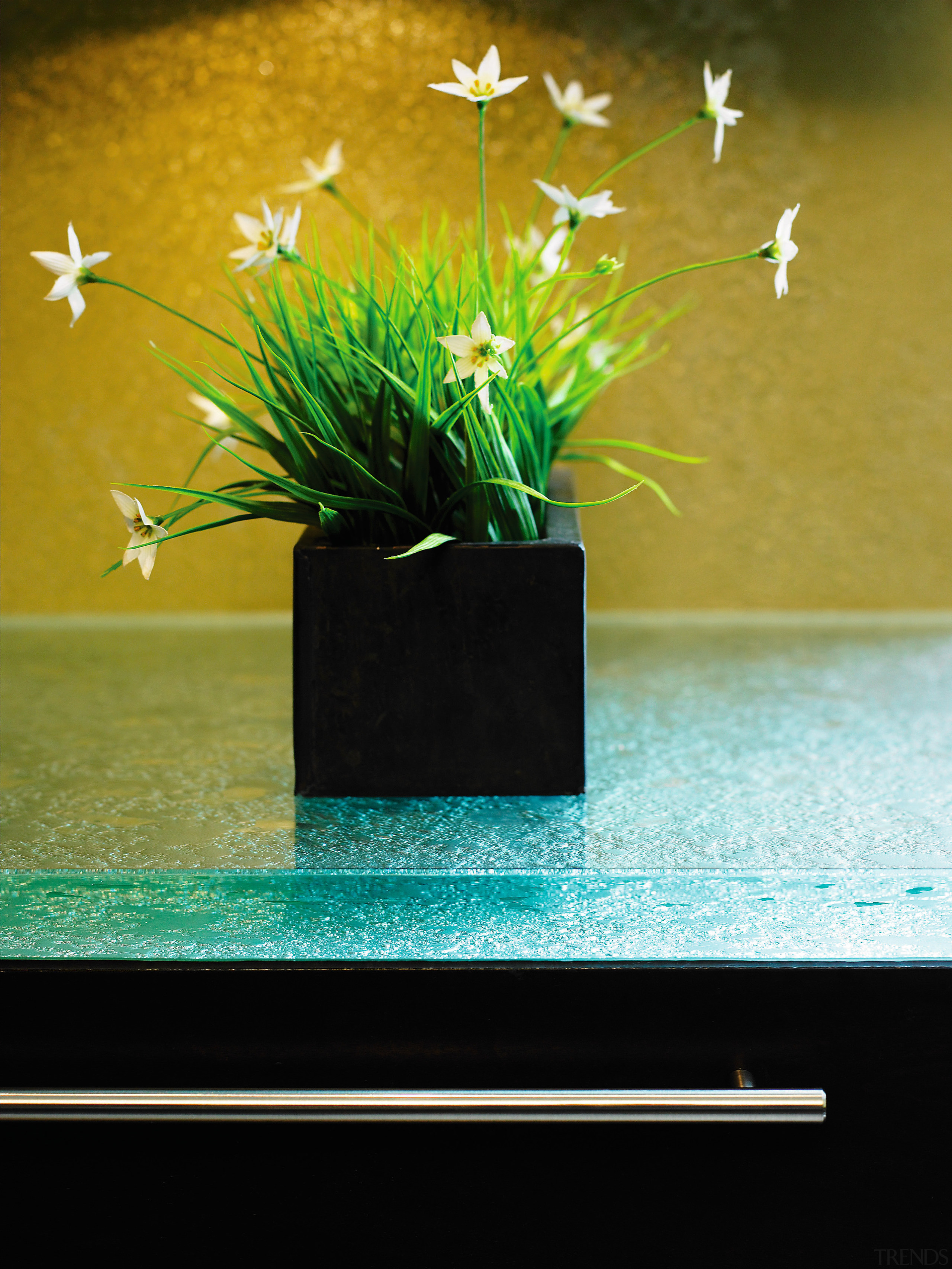 View of these glass countertops that are works flowerpot, green, plant, still life photography, black