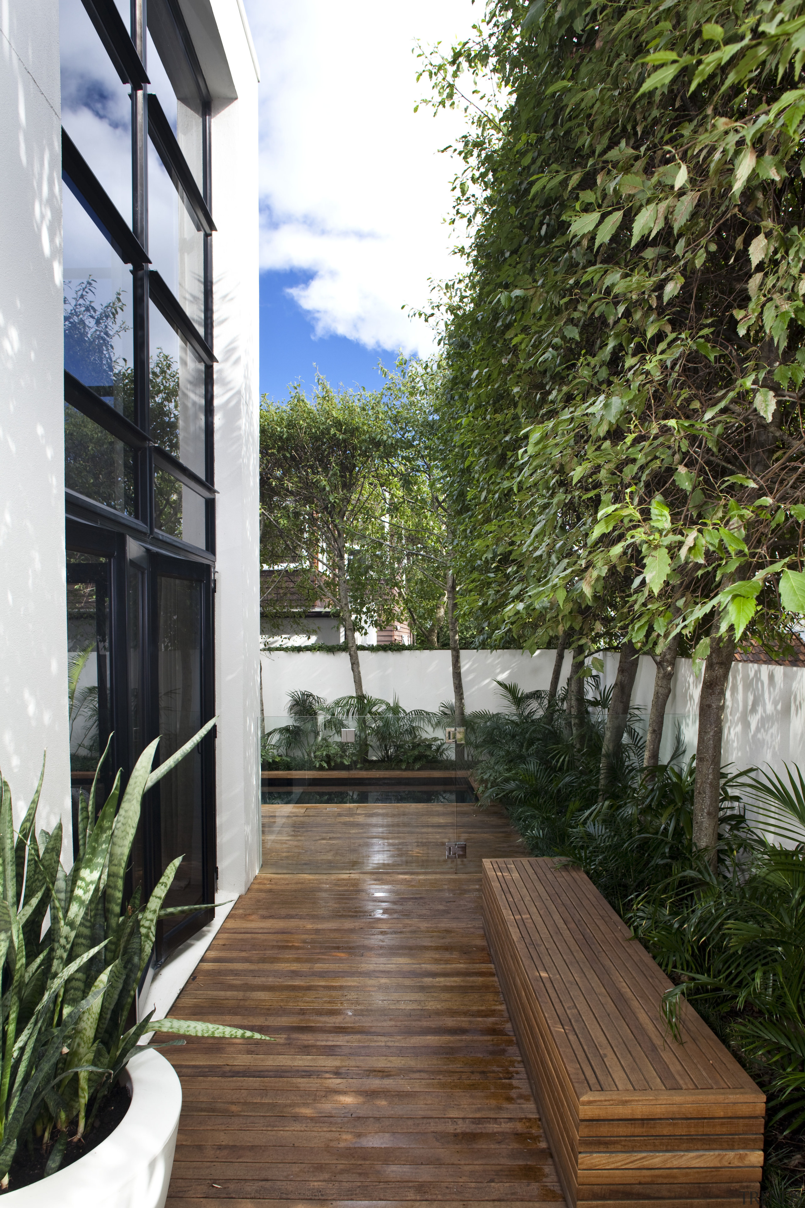 Contemporary city house/ Coloured LED pool lighting. Lap architecture, arecales, backyard, condominium, courtyard, estate, home, house, outdoor structure, plant, property, real estate, tree, walkway, brown