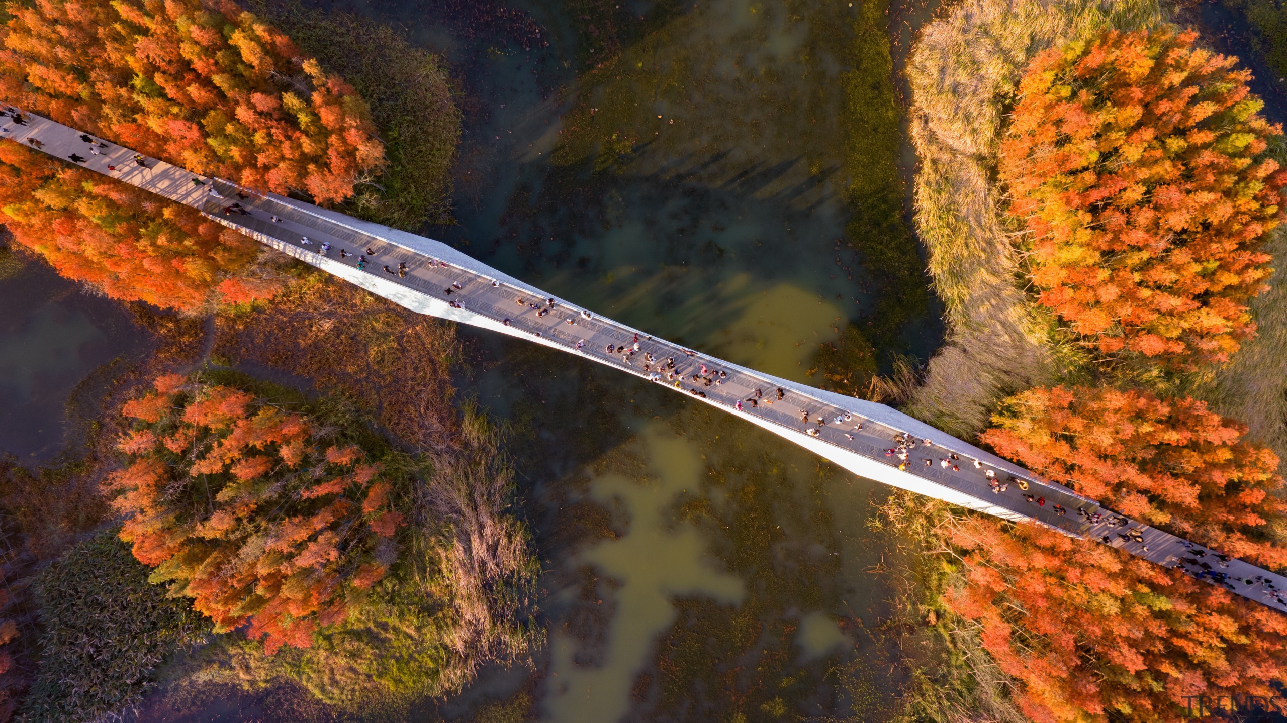 The aerial view of one bridge in a 