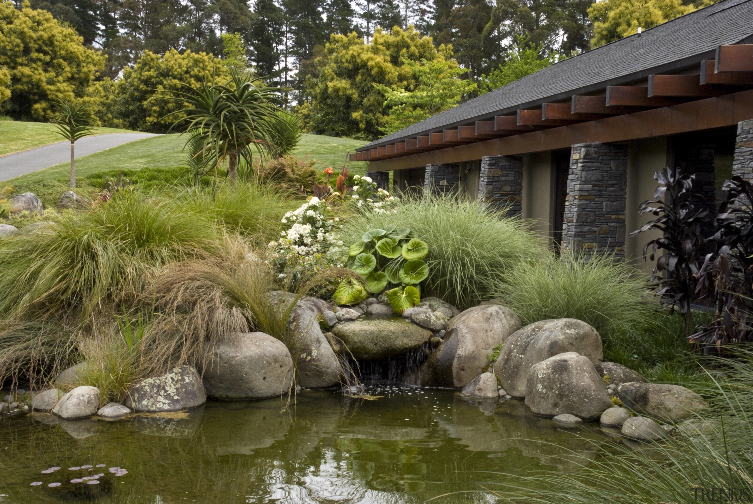 View of concrete rock pool which is made backyard, botanical garden, garden, grass, landscape, landscaping, outdoor structure, plant, pond, tree, vegetation, water, watercourse, yard, brown