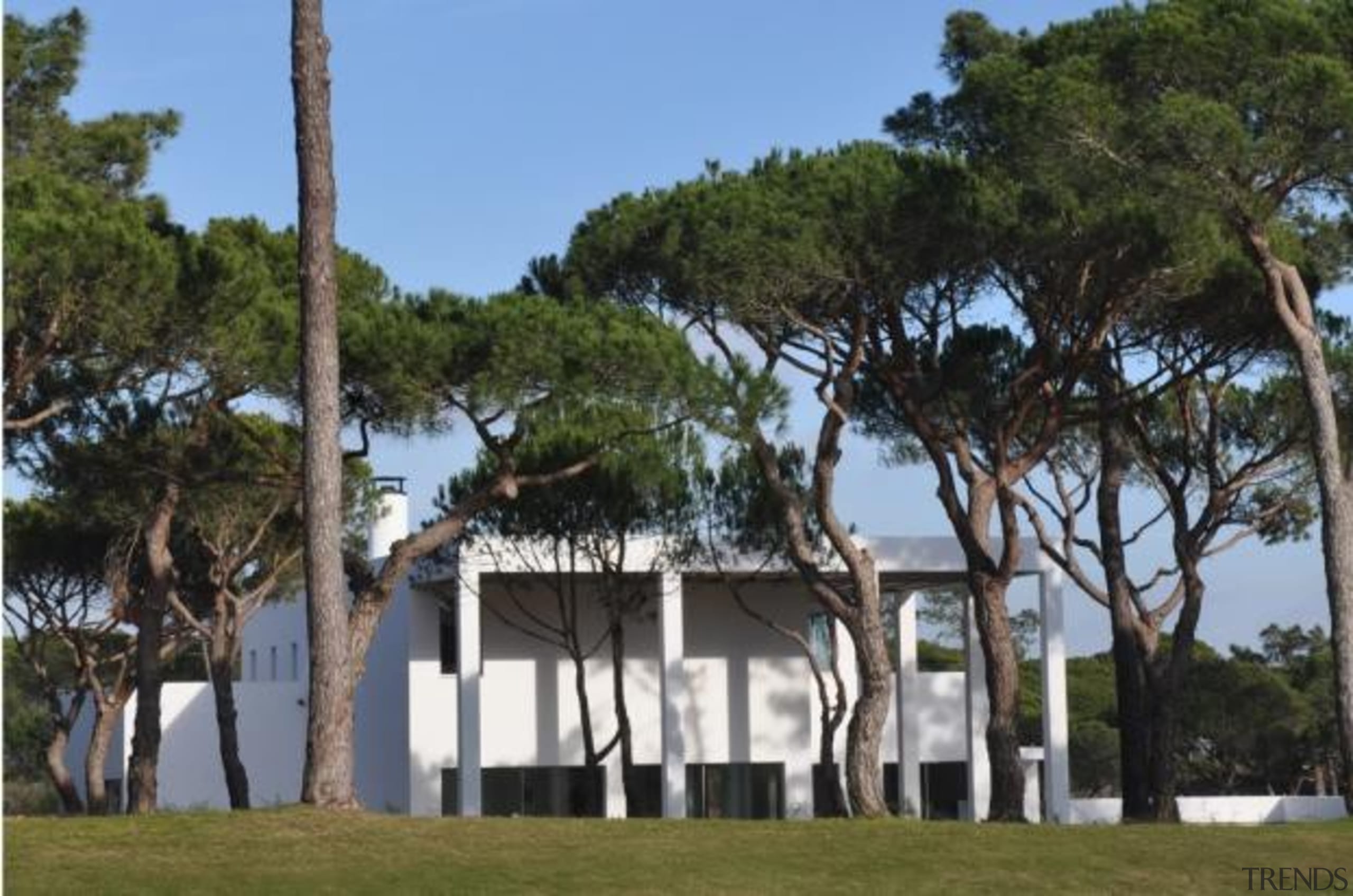 San Lorenzo House, Quinta do Lago, Portugalde Blacam arecales, palm tree, plant, property, tree, black