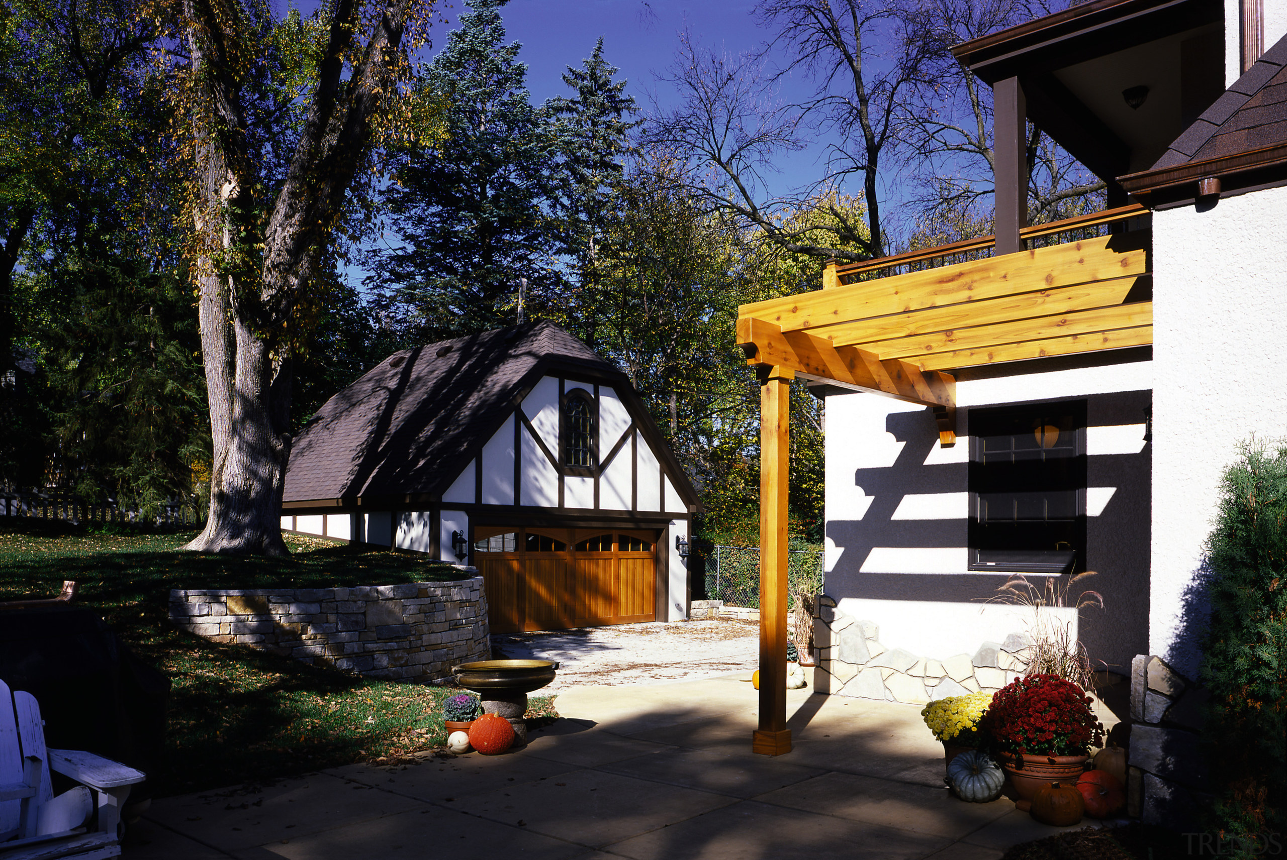 View of the back patio - View of backyard, cottage, home, house, landscape, lighting, outdoor structure, plant, tree, yard, black