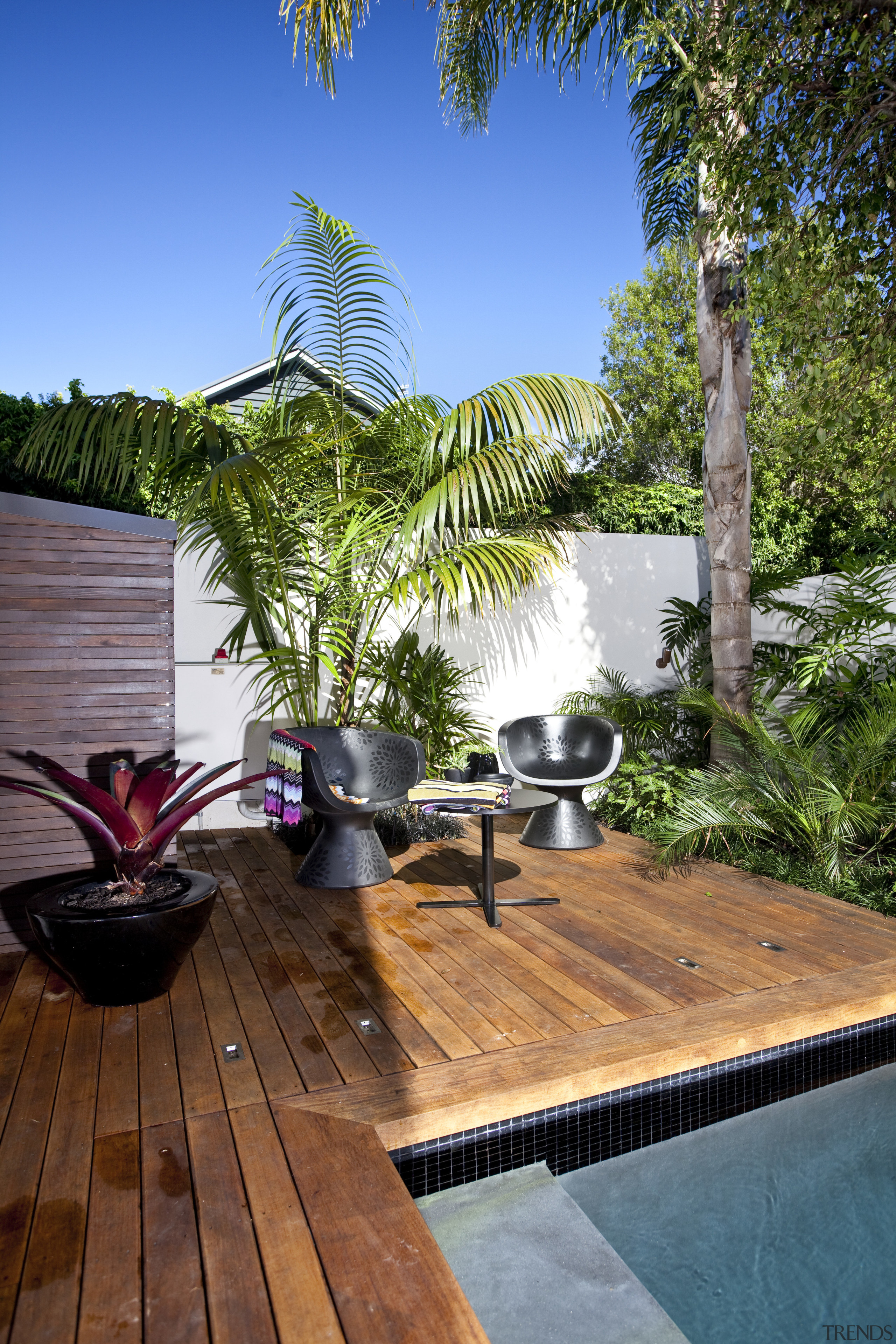 Contemporary city house/ Coloured LED pool lighting. Lap arecales, backyard, deck, home, house, leisure, outdoor furniture, outdoor structure, palm tree, plant, property, real estate, resort, sunlounger, swimming pool, tree, tropics, vacation, water, wood