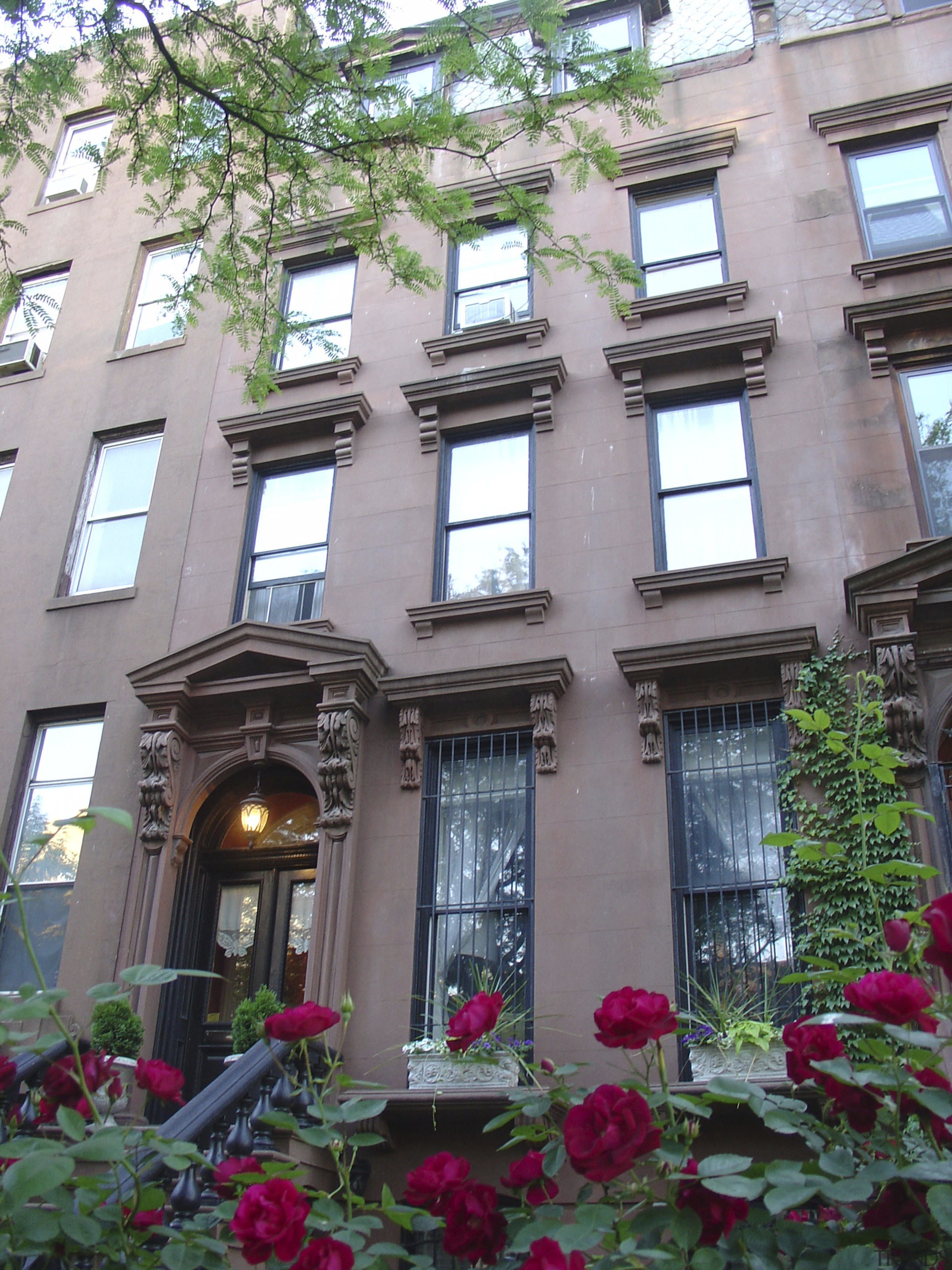 Exterior view of the facade of this town architecture, building, courtyard, facade, flower, home, house, neighbourhood, plant, property, tree, window, gray
