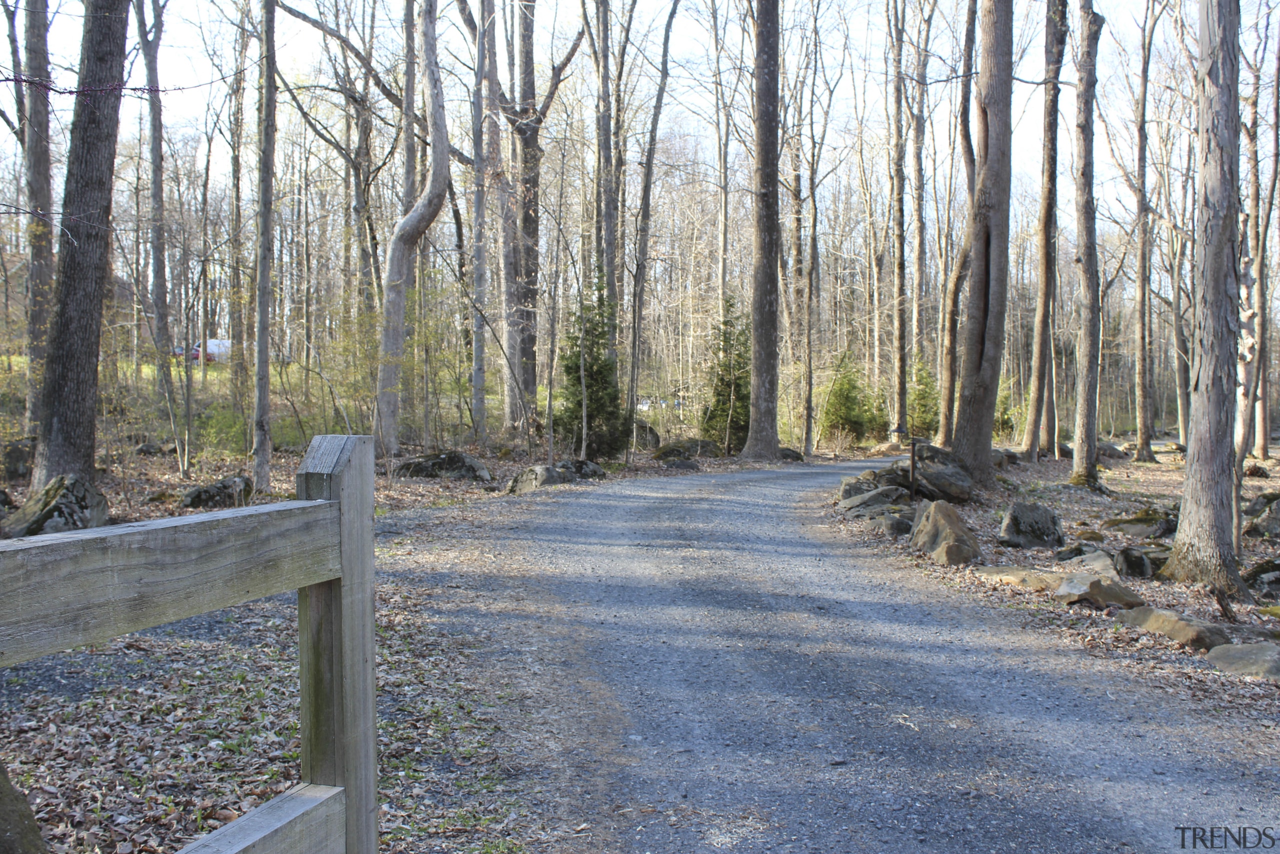 Seen here is the entrance to the house forest, path, road, state park, trail, tree, wood, woodland, gray