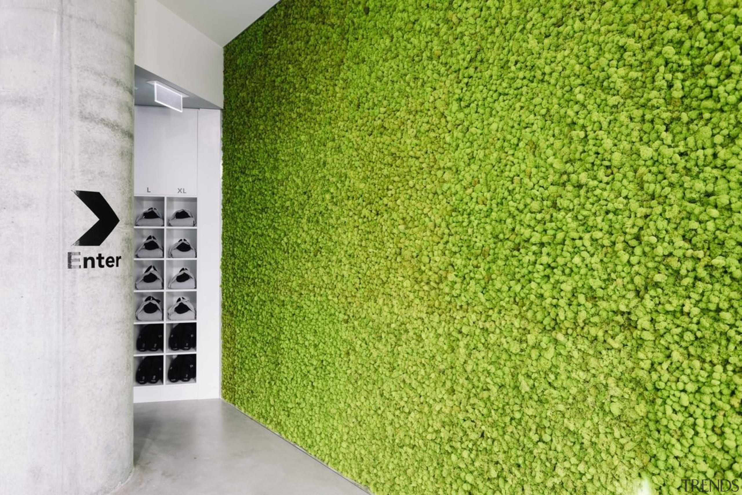 The green wall helps to balance out the grass, green, plant, wall, green