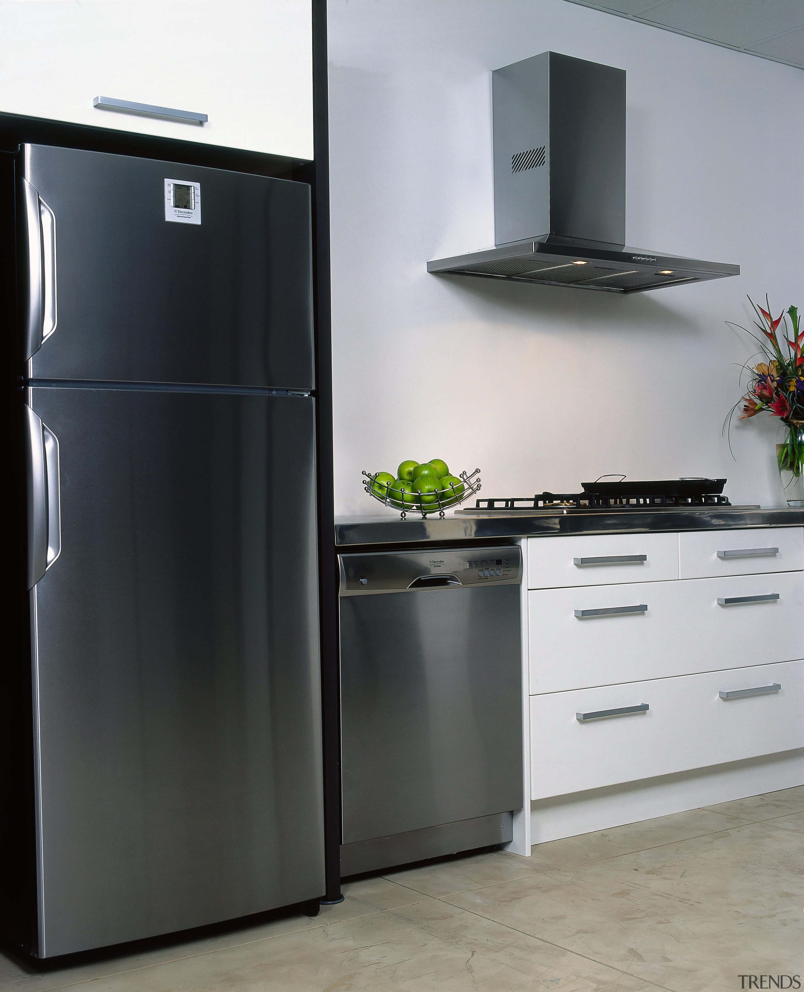 View of the kitchen appliances, including refrigerator, dishwasher, countertop, home appliance, kitchen, kitchen appliance, major appliance, product, product design, refrigerator, gray, black