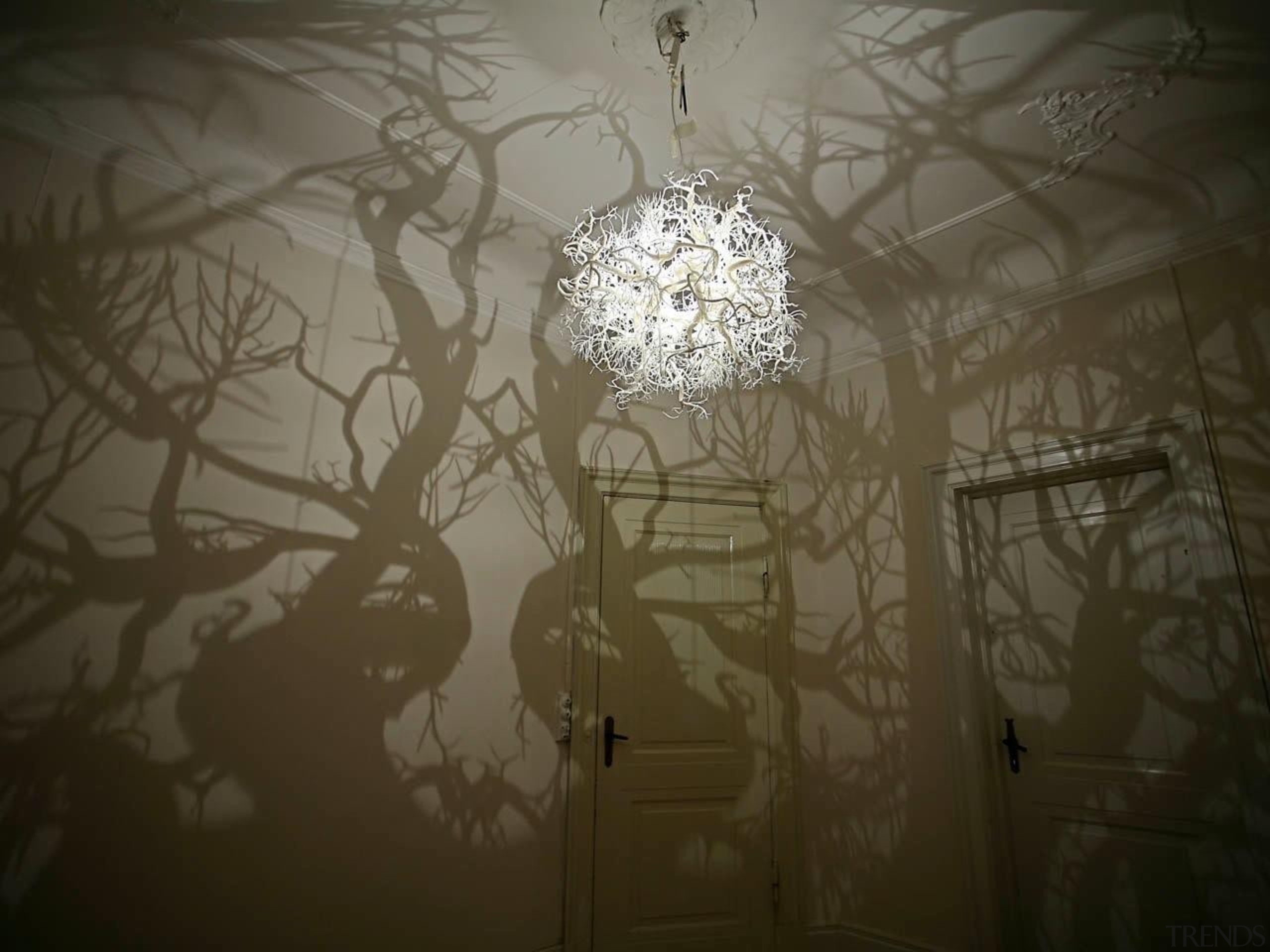 20130406120232.jpg - 20130406120232.jpg - atmosphere | branch | atmosphere, branch, ceiling, darkness, daylighting, light, light fixture, lighting, plaster, sunlight, tourist attraction, twig, wall, brown