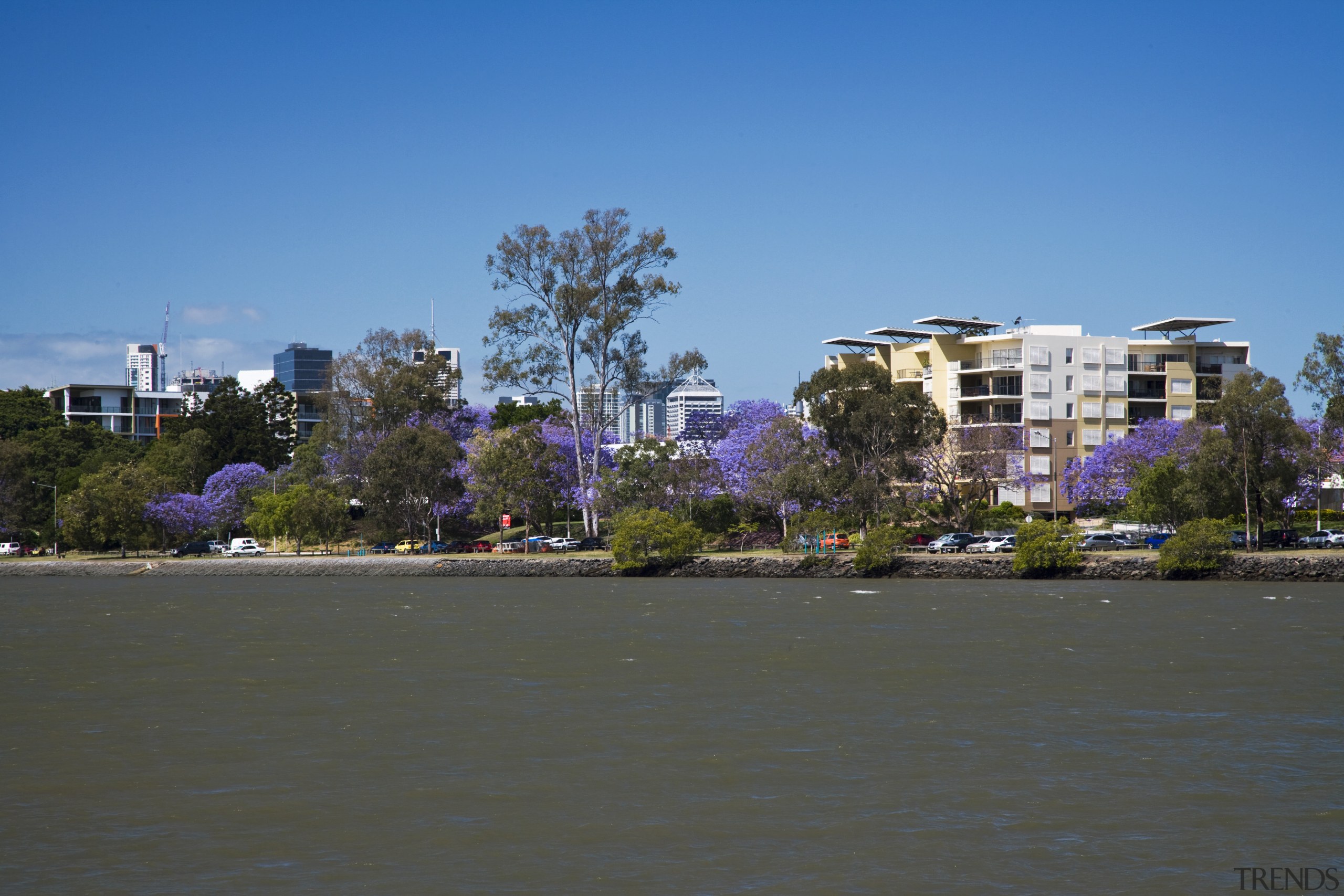 View of the West End Riverside development which bank, body of water, canal, city, daytime, downtown, lake, metropolitan area, neighbourhood, plant, real estate, reflection, residential area, river, sky, skyline, suburb, tree, urban area, water, waterway, gray, teal