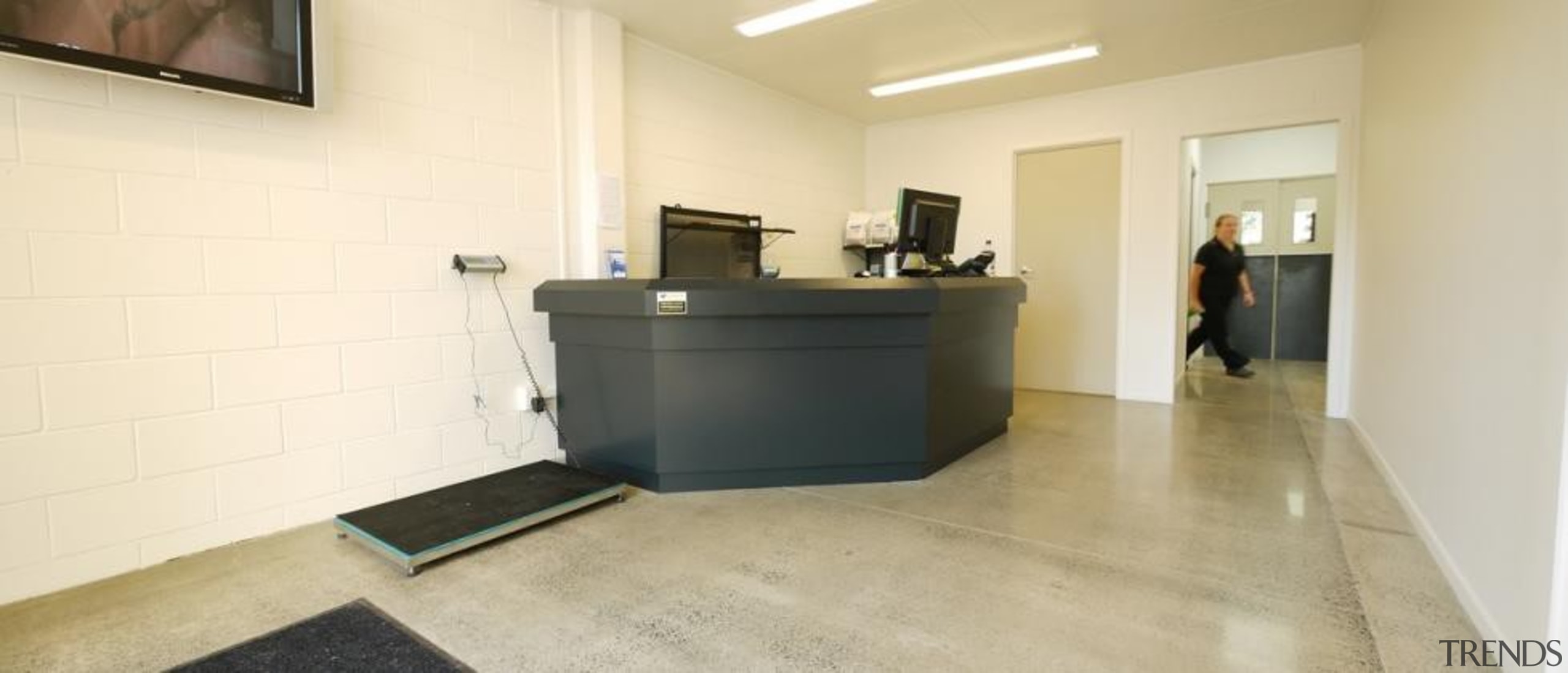 Waikato Veterinary Hospital - Waikato Veterinary Hospital - floor, flooring, interior design, office, property, real estate, orange