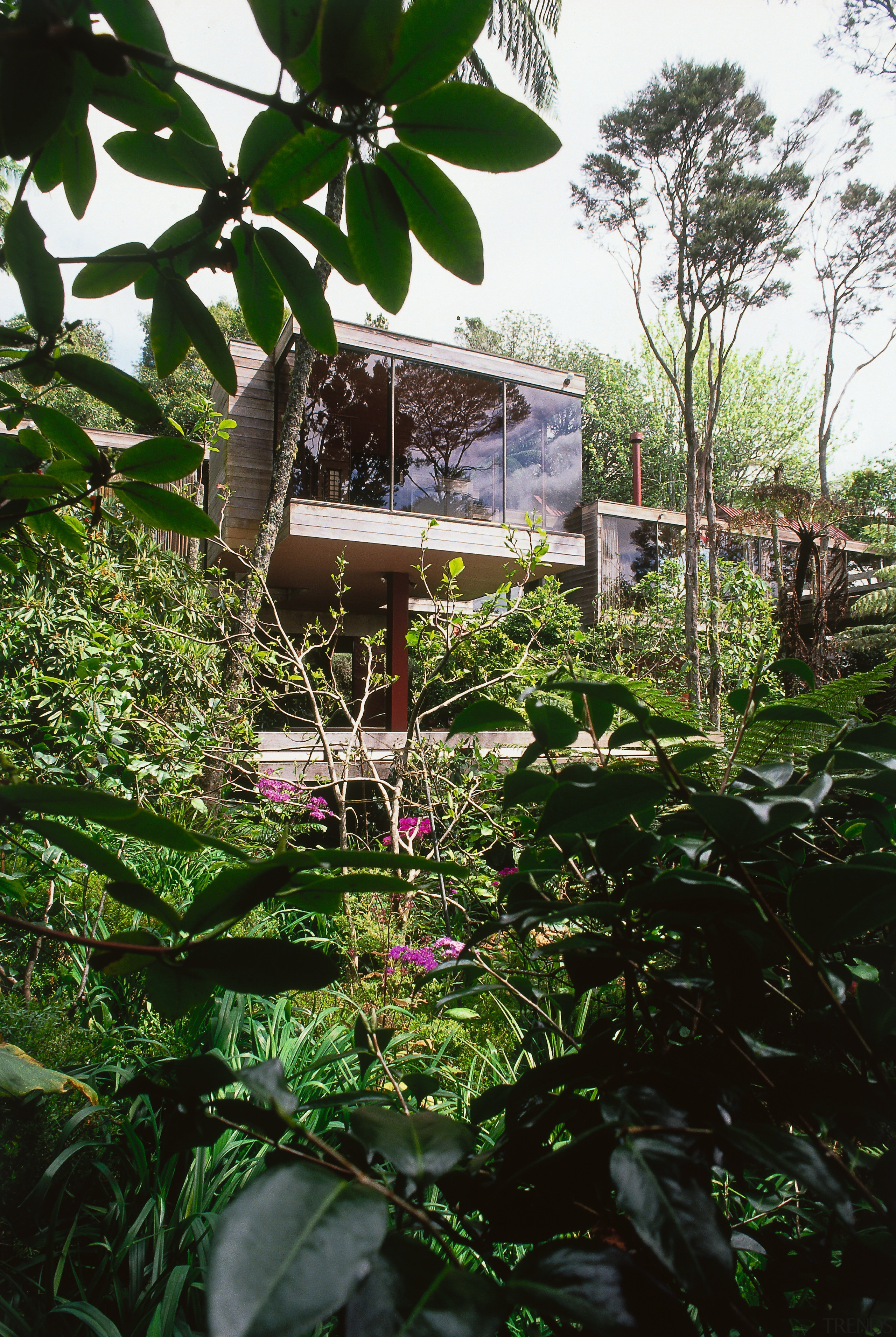 A view of this house designed by Ron flora, flower, garden, house, jungle, leaf, outdoor structure, plant, rainforest, tree, vegetation, green