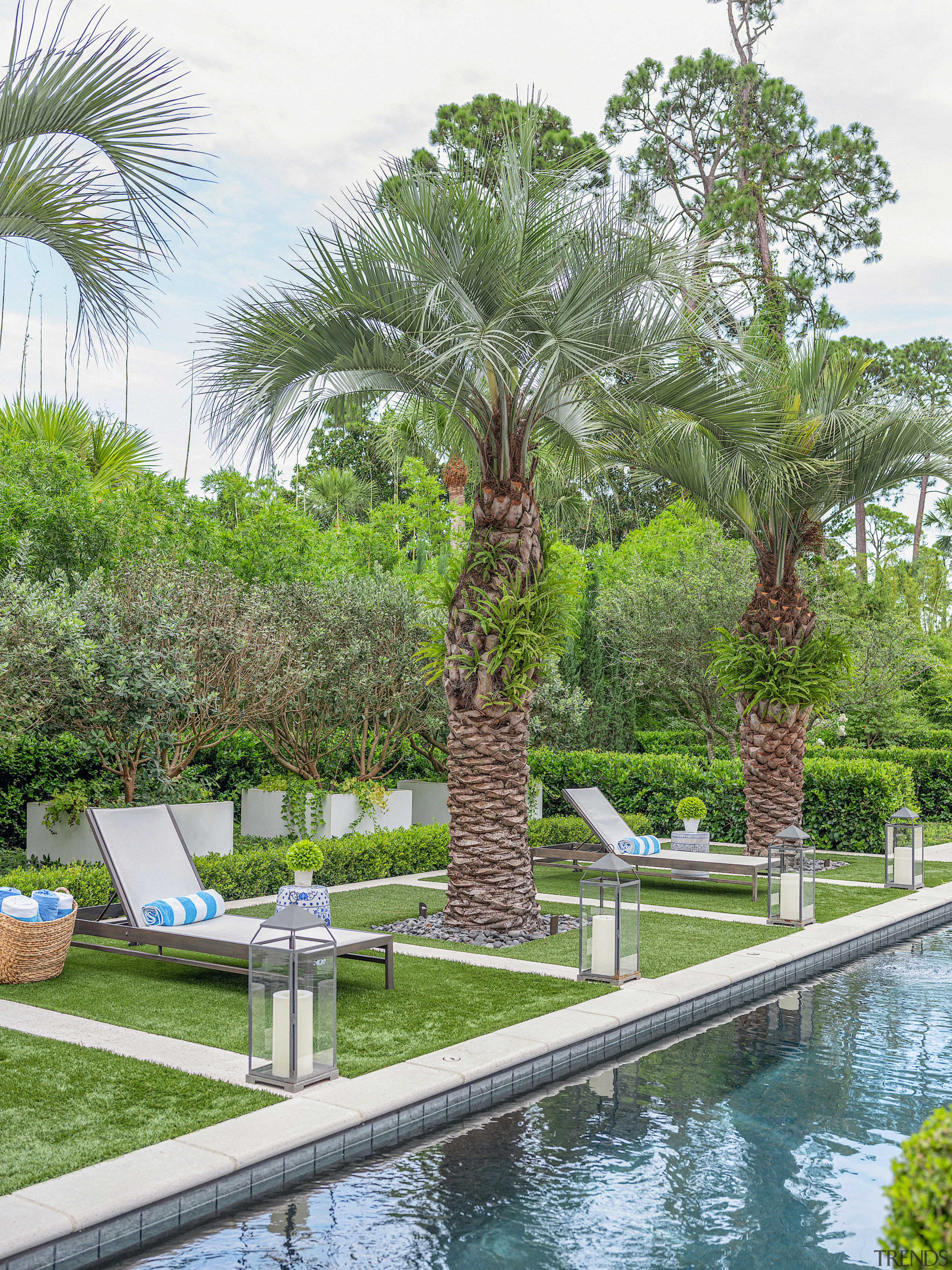 Mature palms stand to attention poolside. - Formal 