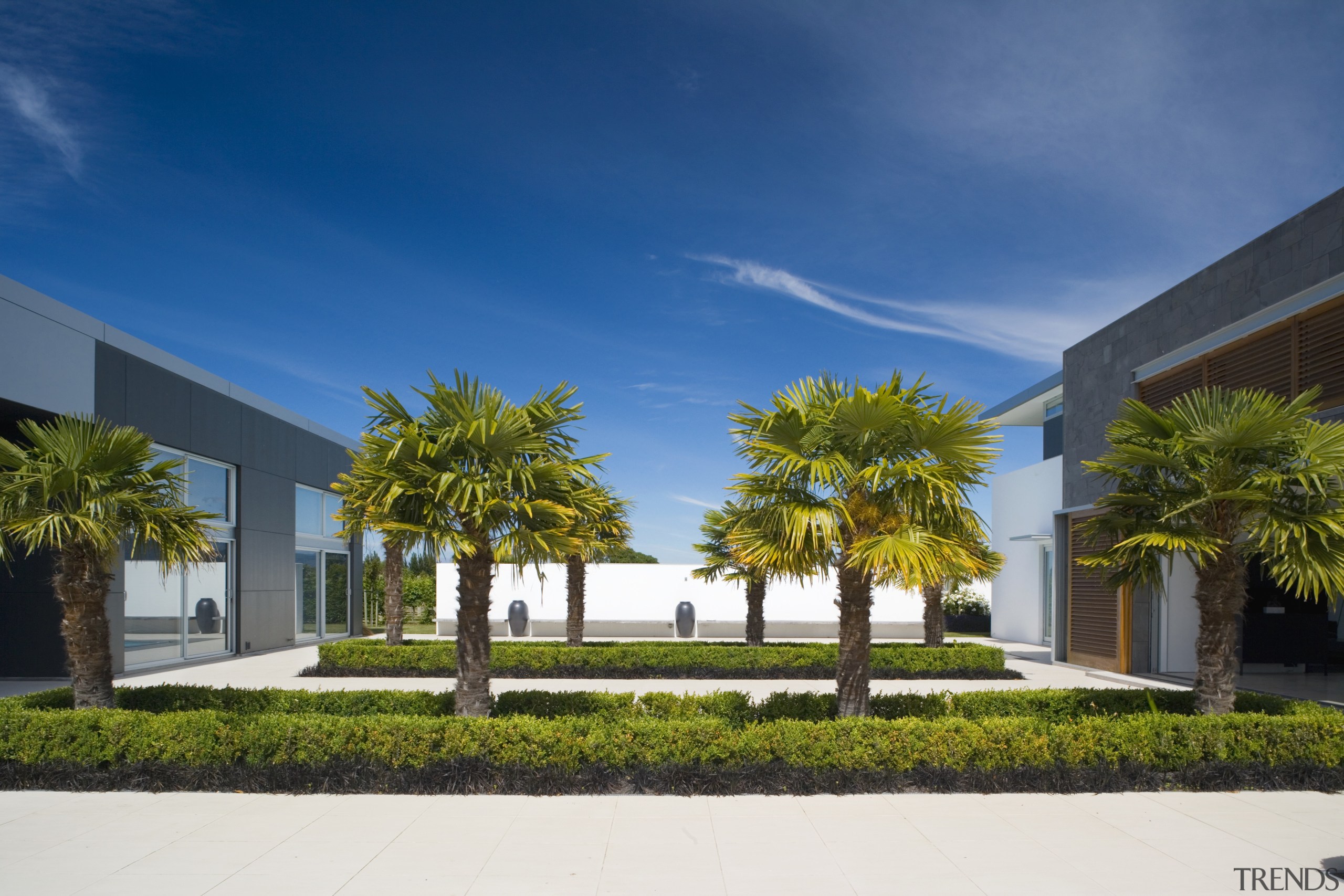 An exterior view of the patio area, pavers, architecture, arecales, building, condominium, corporate headquarters, daytime, estate, facade, home, house, mixed use, palm tree, property, real estate, residential area, resort, sky, tree, villa, blue