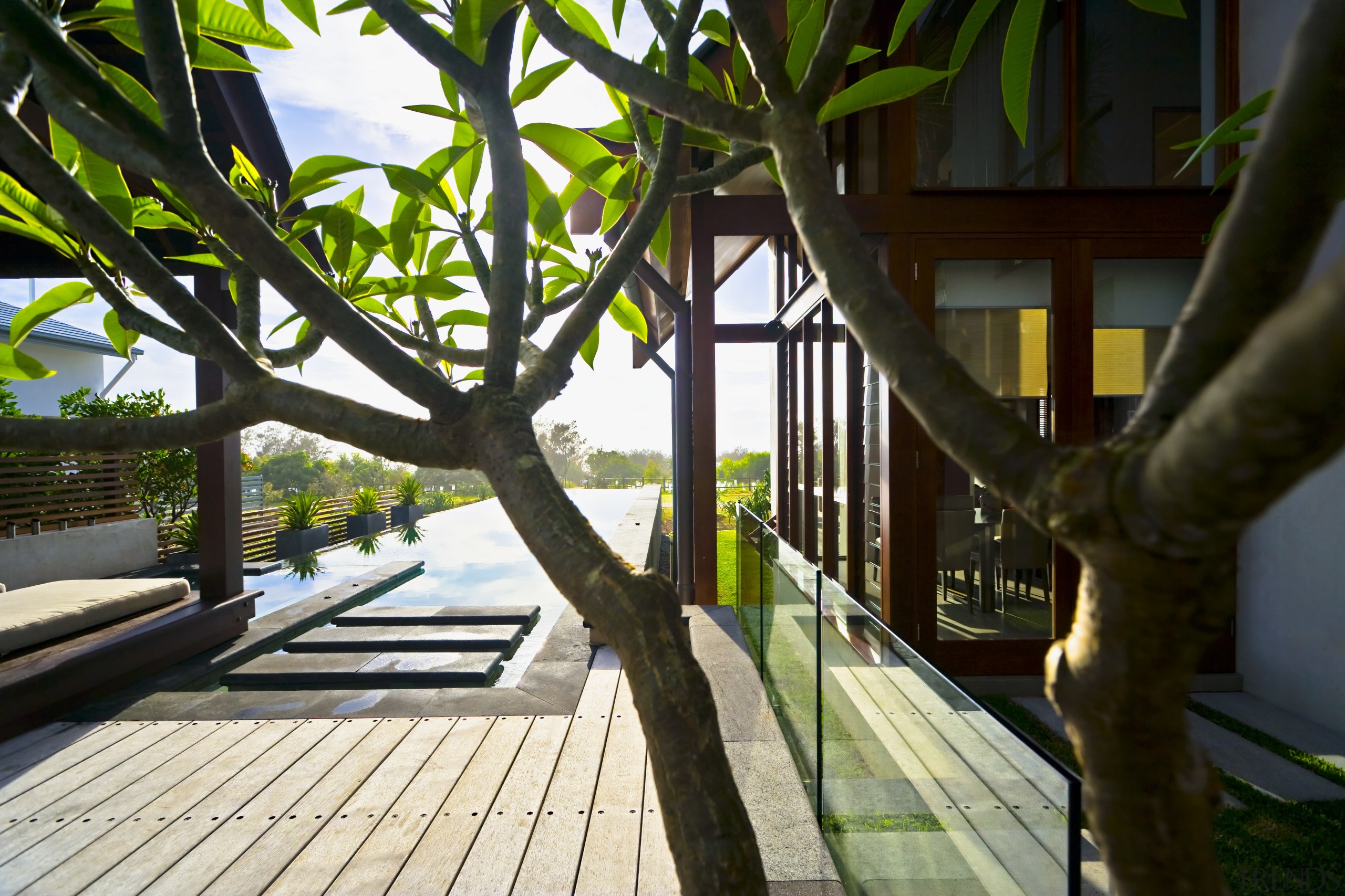 View of outdoor area and pool with landscaping, arecales, house, leisure, outdoor structure, plant, tree, wood, black
