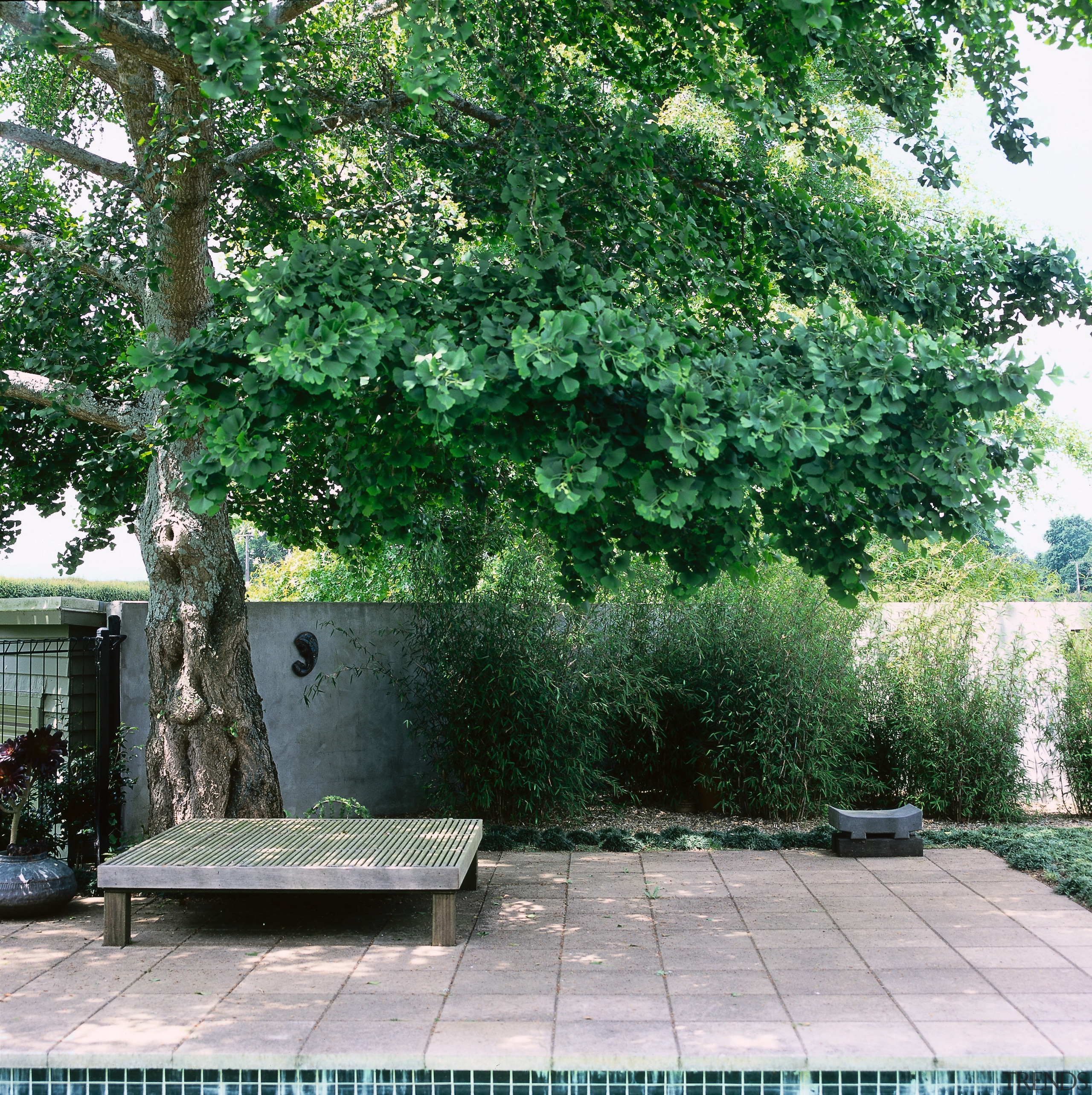 view of the sandstone paved pool area featuring backyard, courtyard, evergreen, garden, grass, outdoor structure, plant, property, real estate, shrub, tree, yard, green