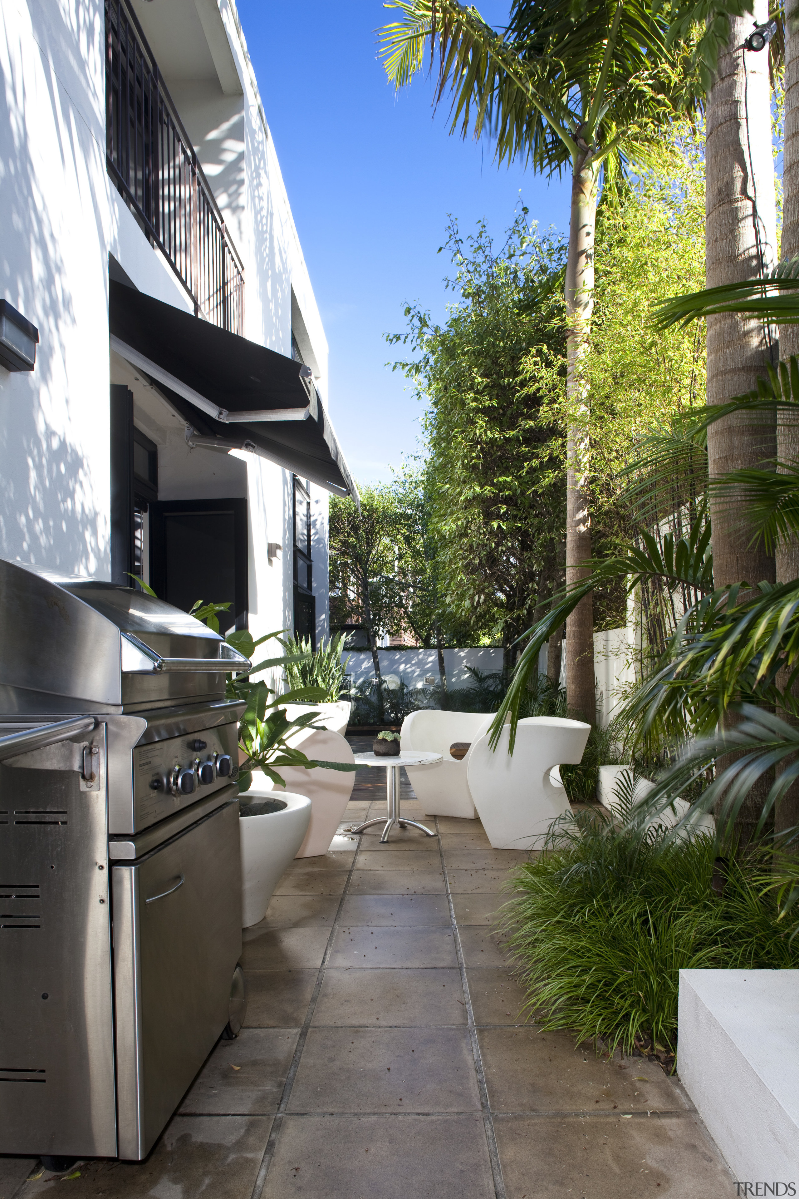 Contemporary city house. Timber decking. Elder trees. White apartment, architecture, arecales, estate, home, house, neighbourhood, outdoor structure, plant, property, real estate, residential area, tree, walkway