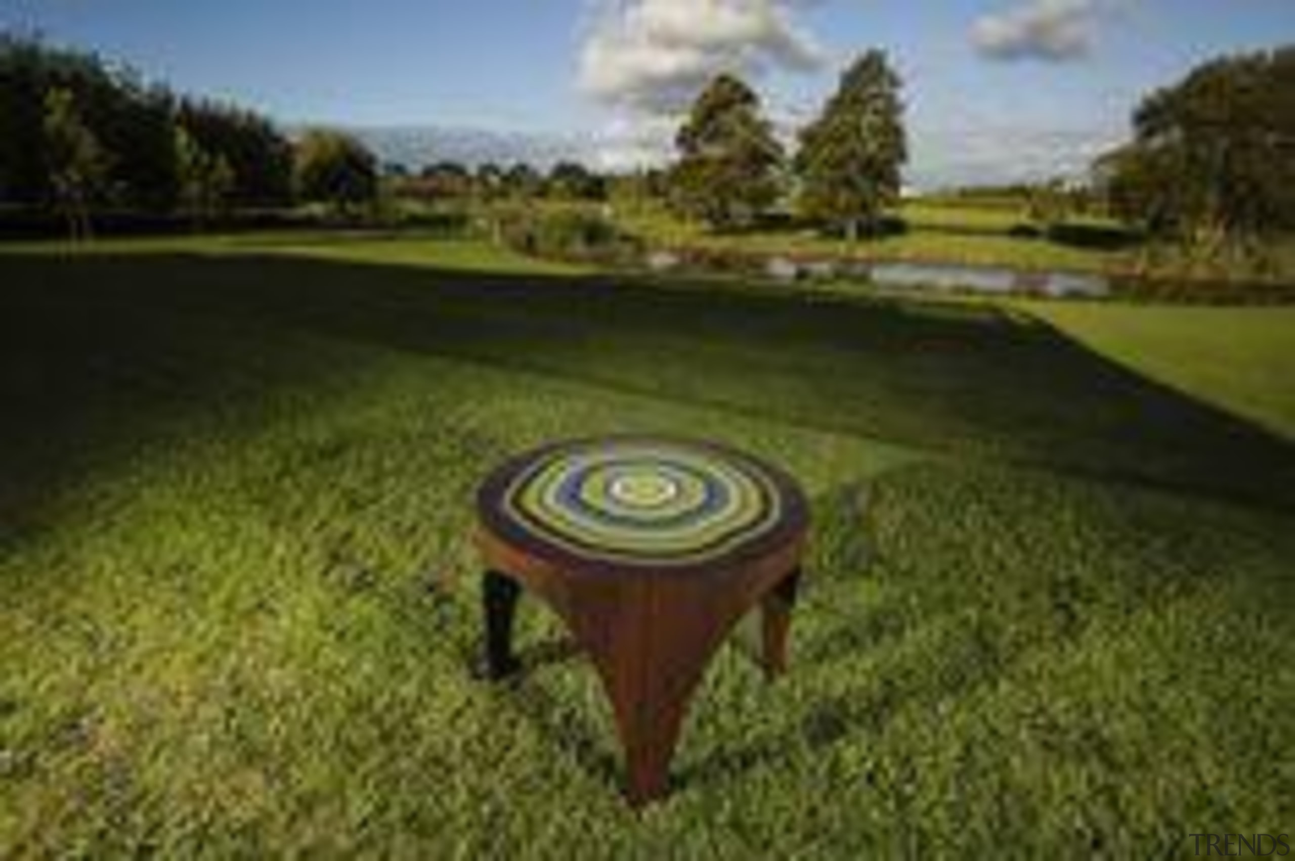 Winning design, Emerging Section Frances Fraser: Time Table grass, lawn, property, table, tree, brown