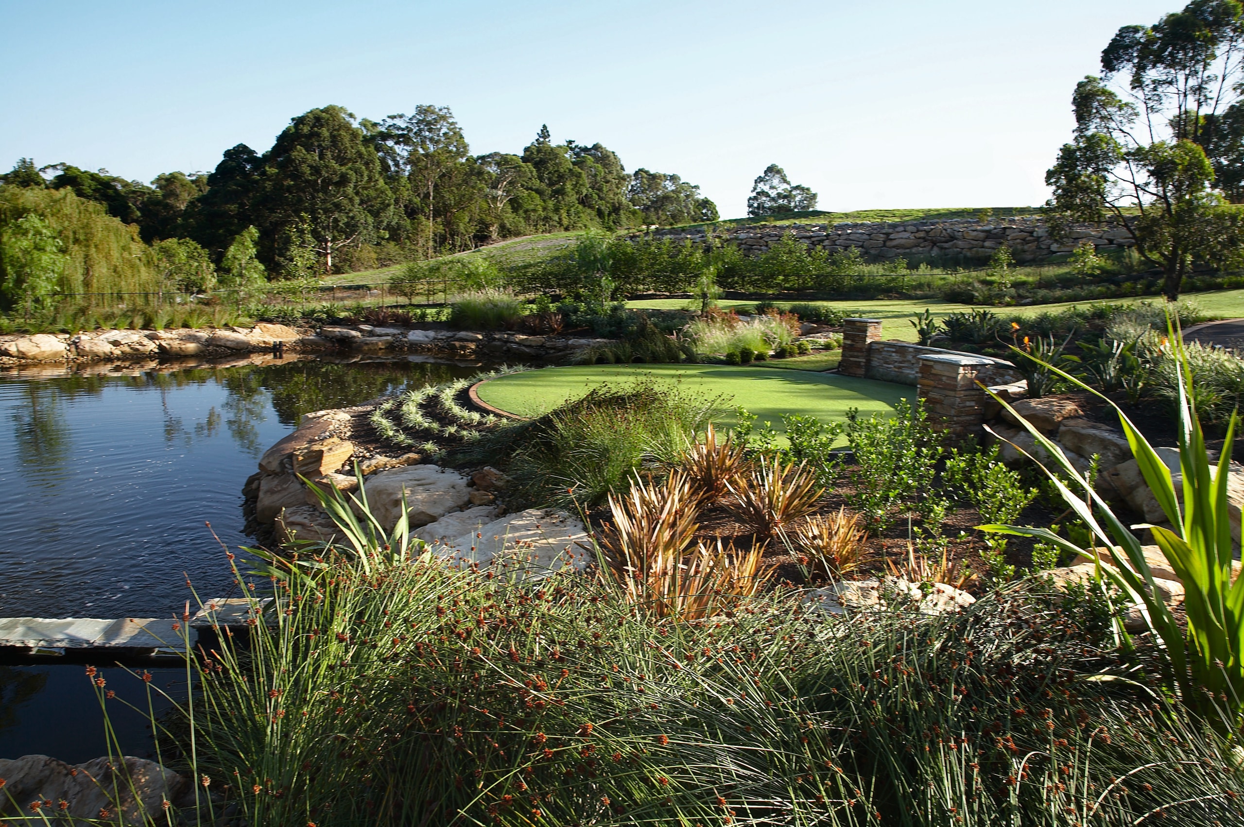 View of the steam and lake that is grass, grass family, landscape, plant, pond, tree, vegetation, water, wetland, brown, black