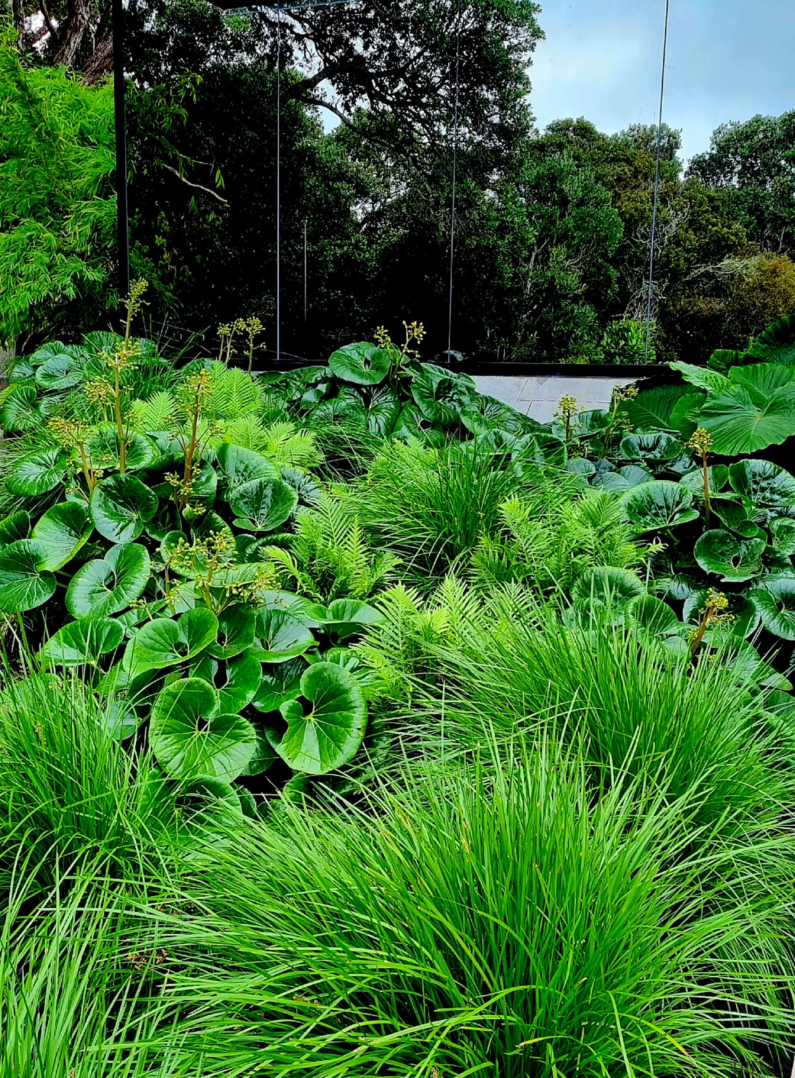 A mirrored wall reflects the native bush. Lush 