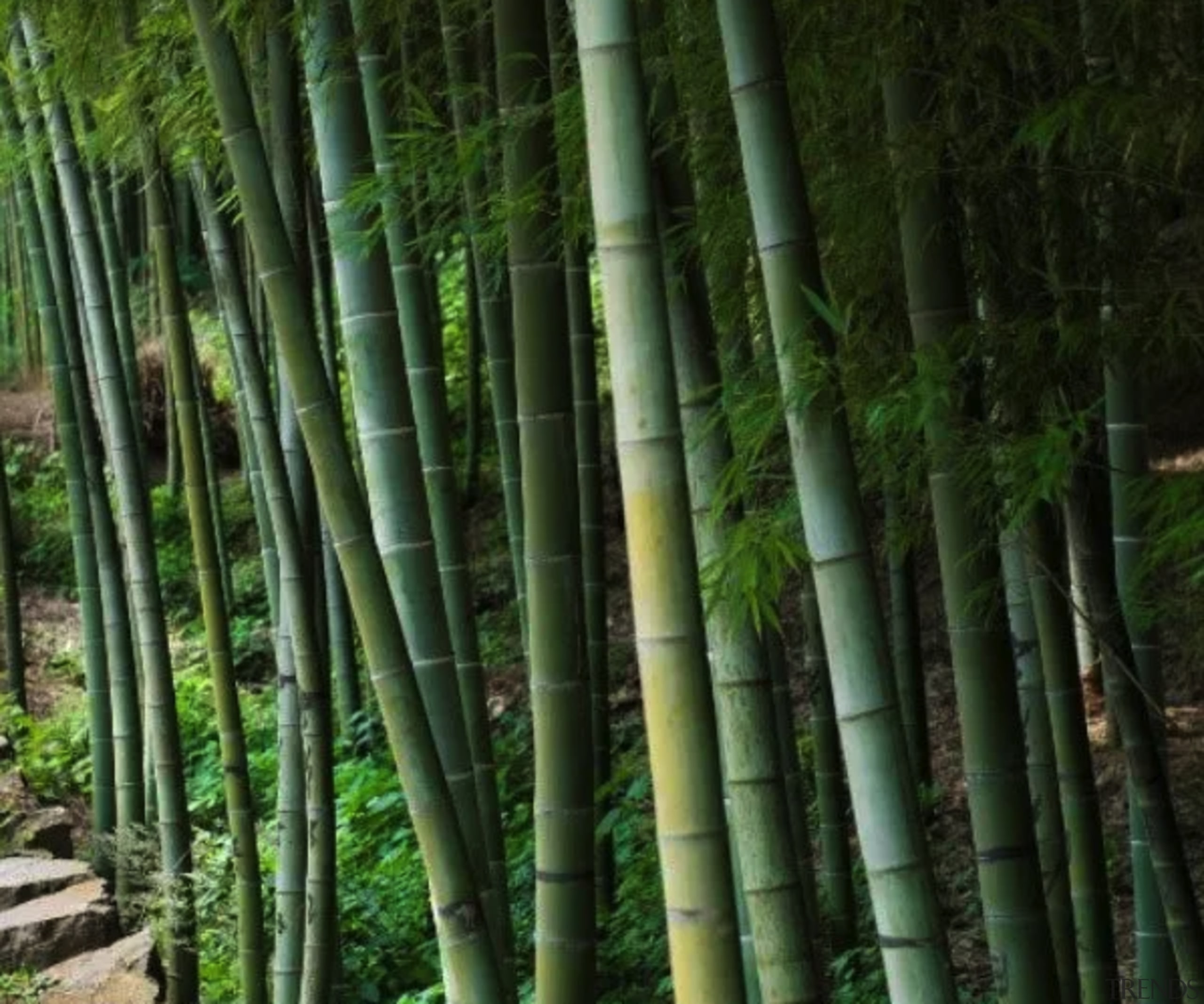 Sustainable and healthy. - Versatile in the extreme 