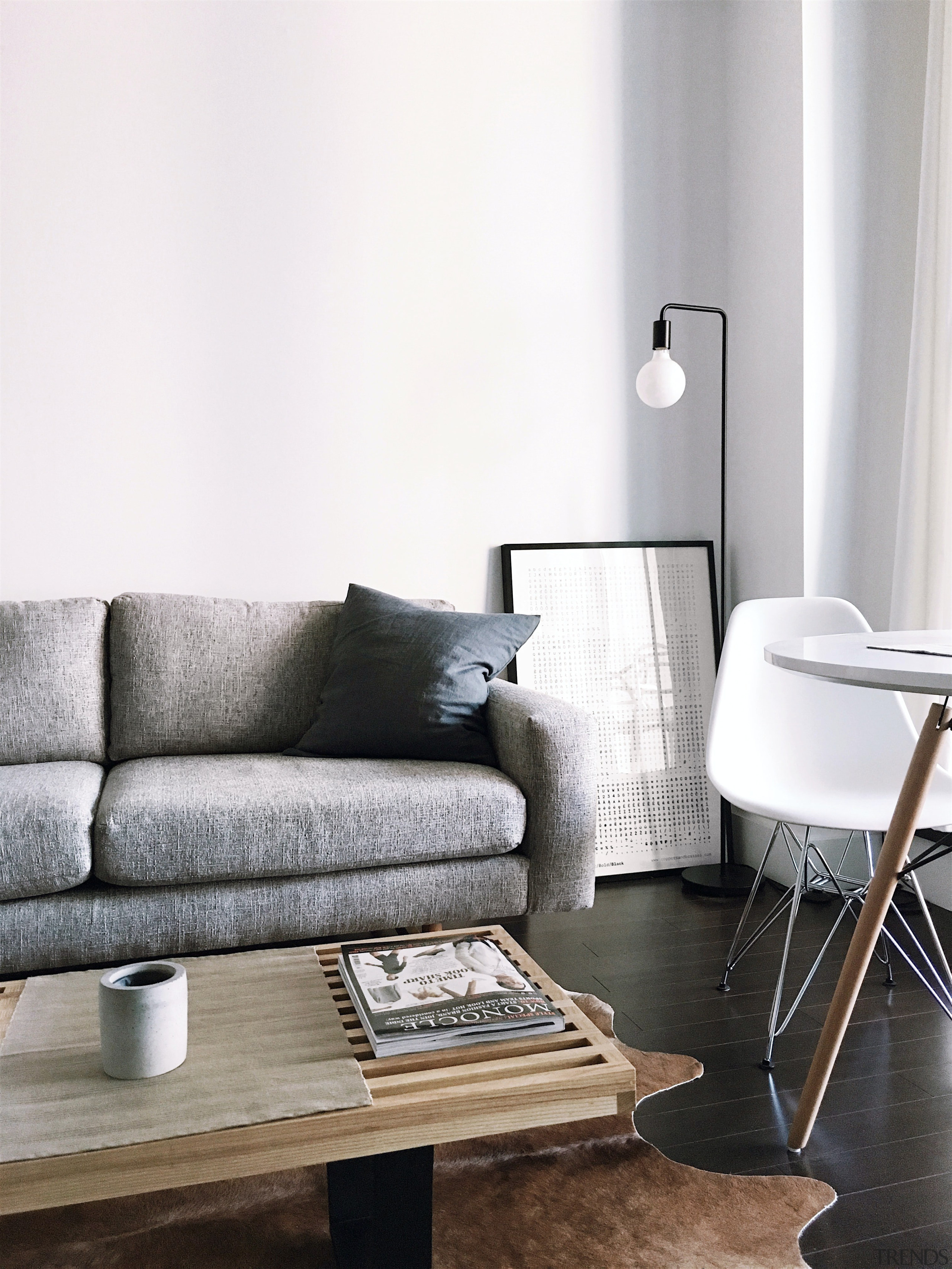 Minimalist living room -  