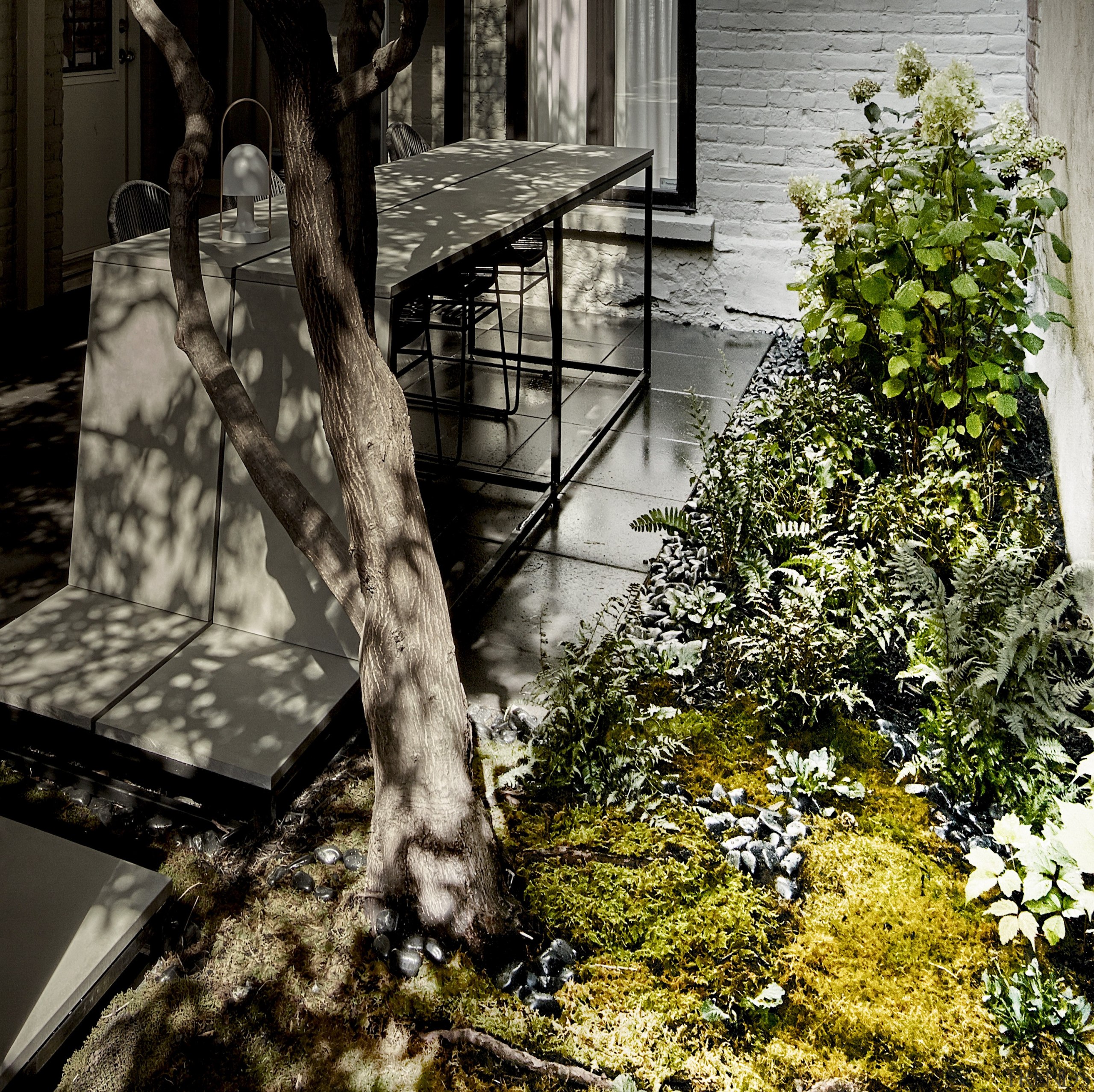 n addition to designing the furniture, MYTO faced architecture, branch, home, house, leaf, plant, spring, sunlight, tree, trunk, window, woody plant, black, gray