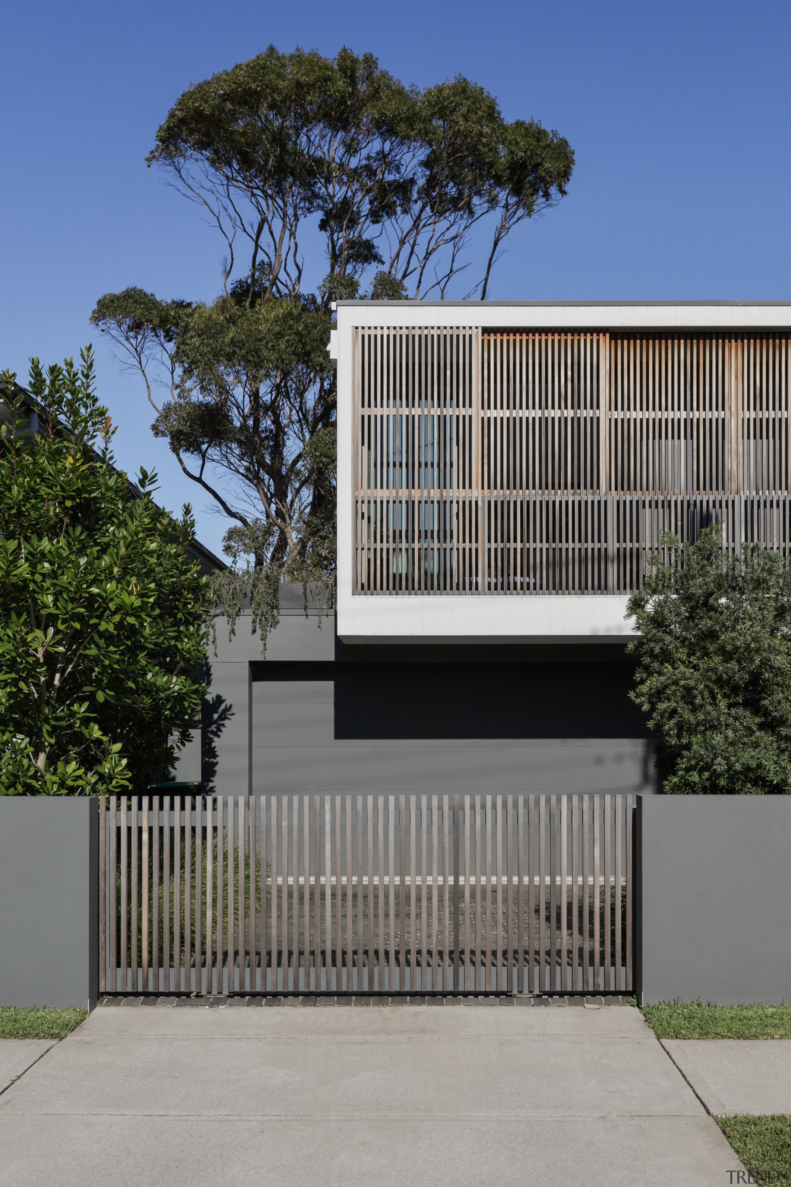 Mature trees soften modern architectural lines. 