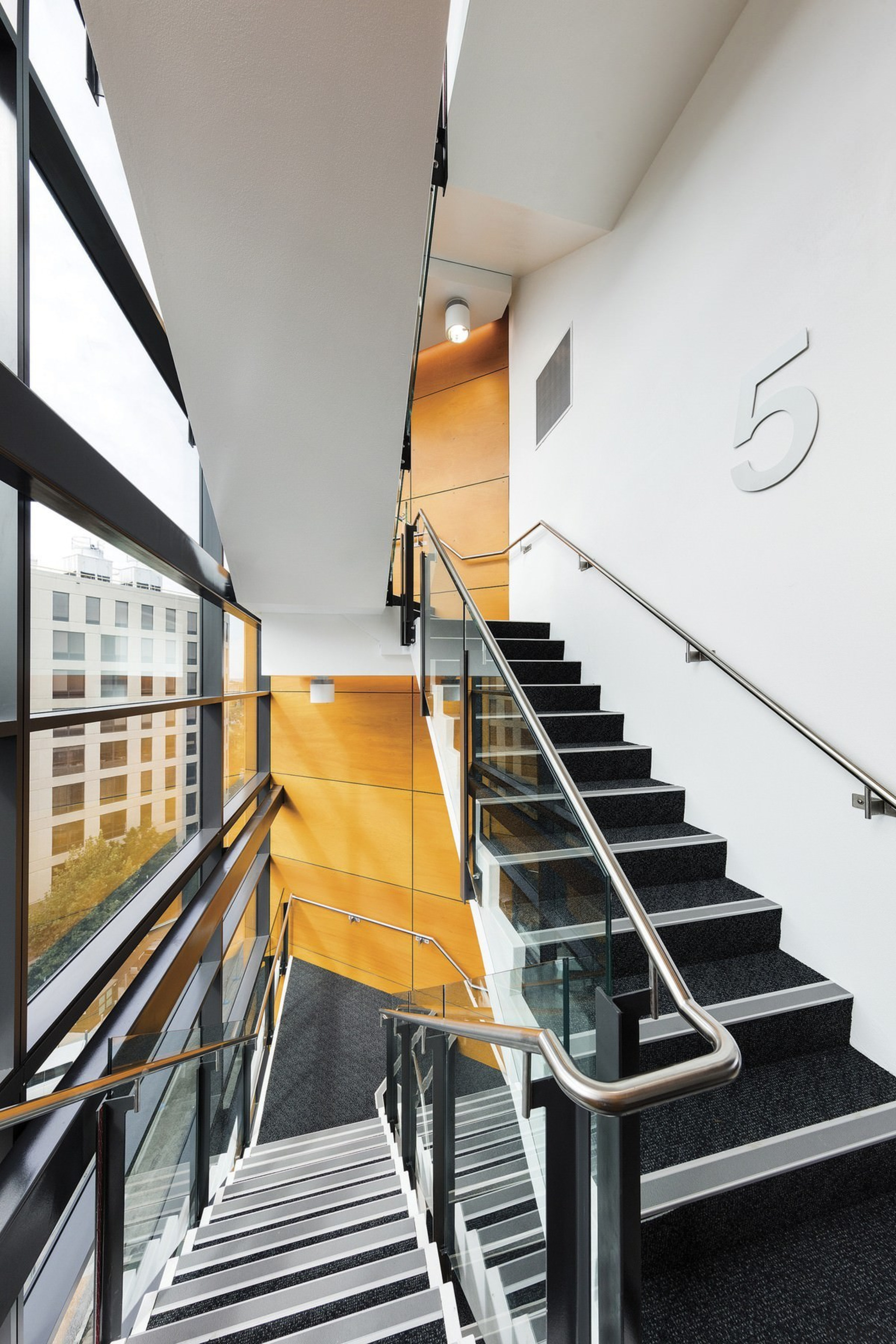 Newcastle Courthouse – Cox Architecture - Newcastle Courthouse architecture, building, daylighting, glass, handrail, house, interior design, stairs, gray, white