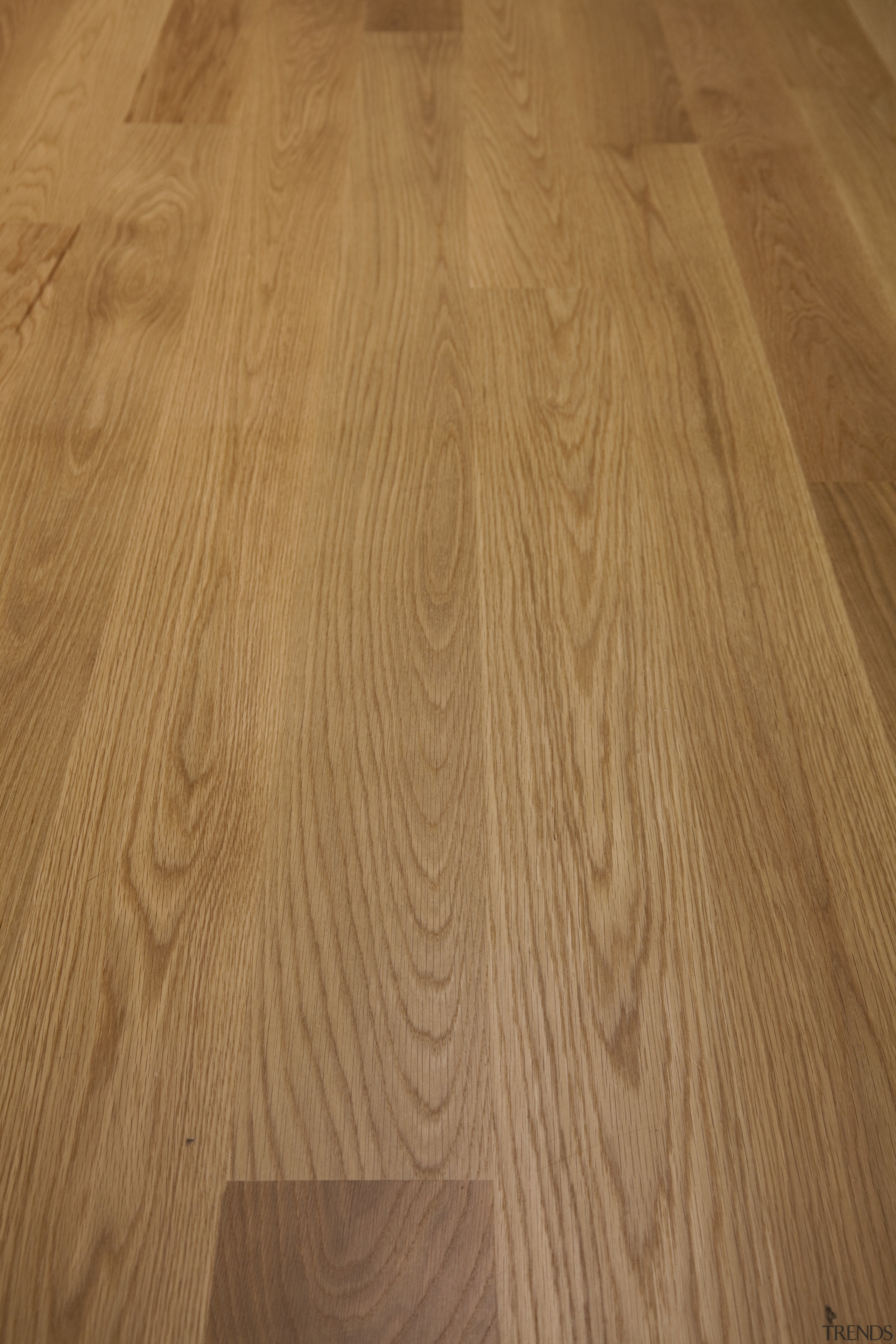 Here is a view of the hardwood flooring caramel color, floor, flooring, garapa, hardwood, laminate flooring, line, lumber, plank, plywood, wood, wood flooring, wood stain, brown, orange