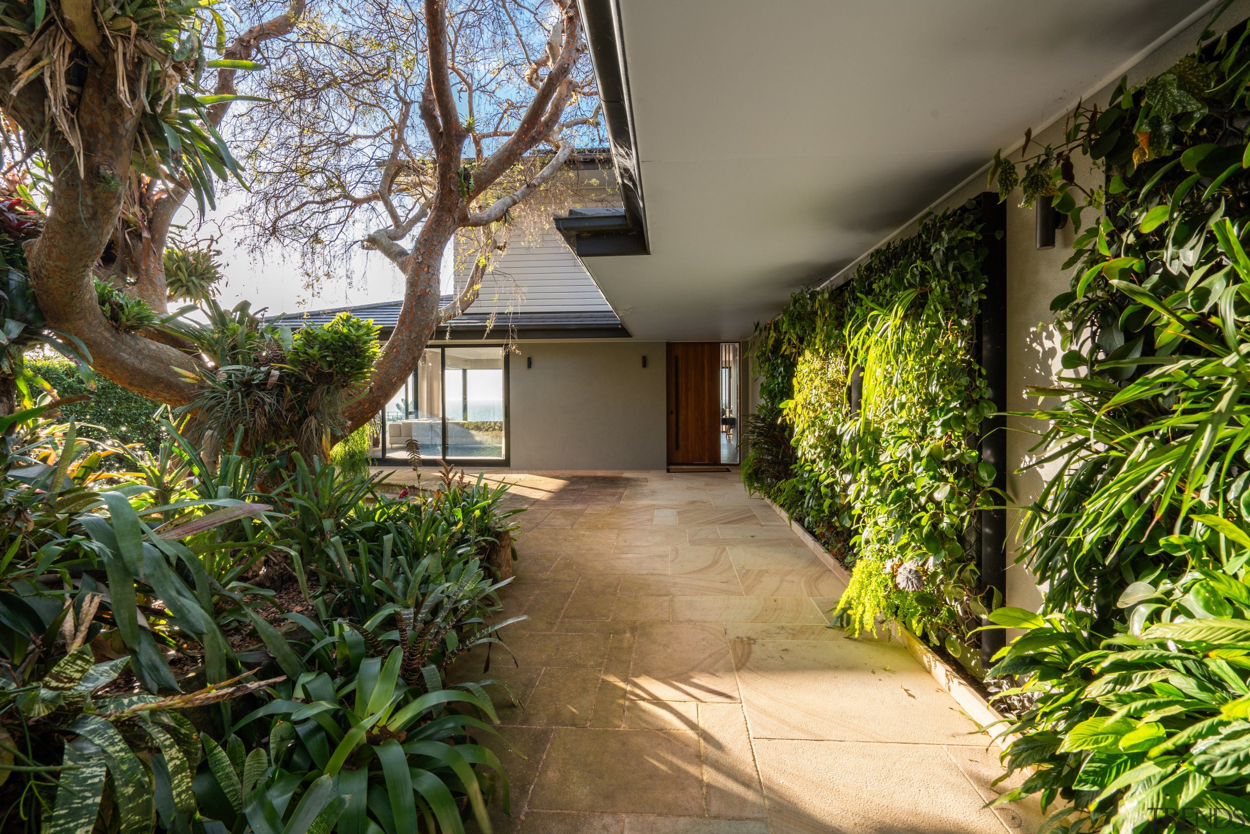 6 ways a green wall will benefit your 