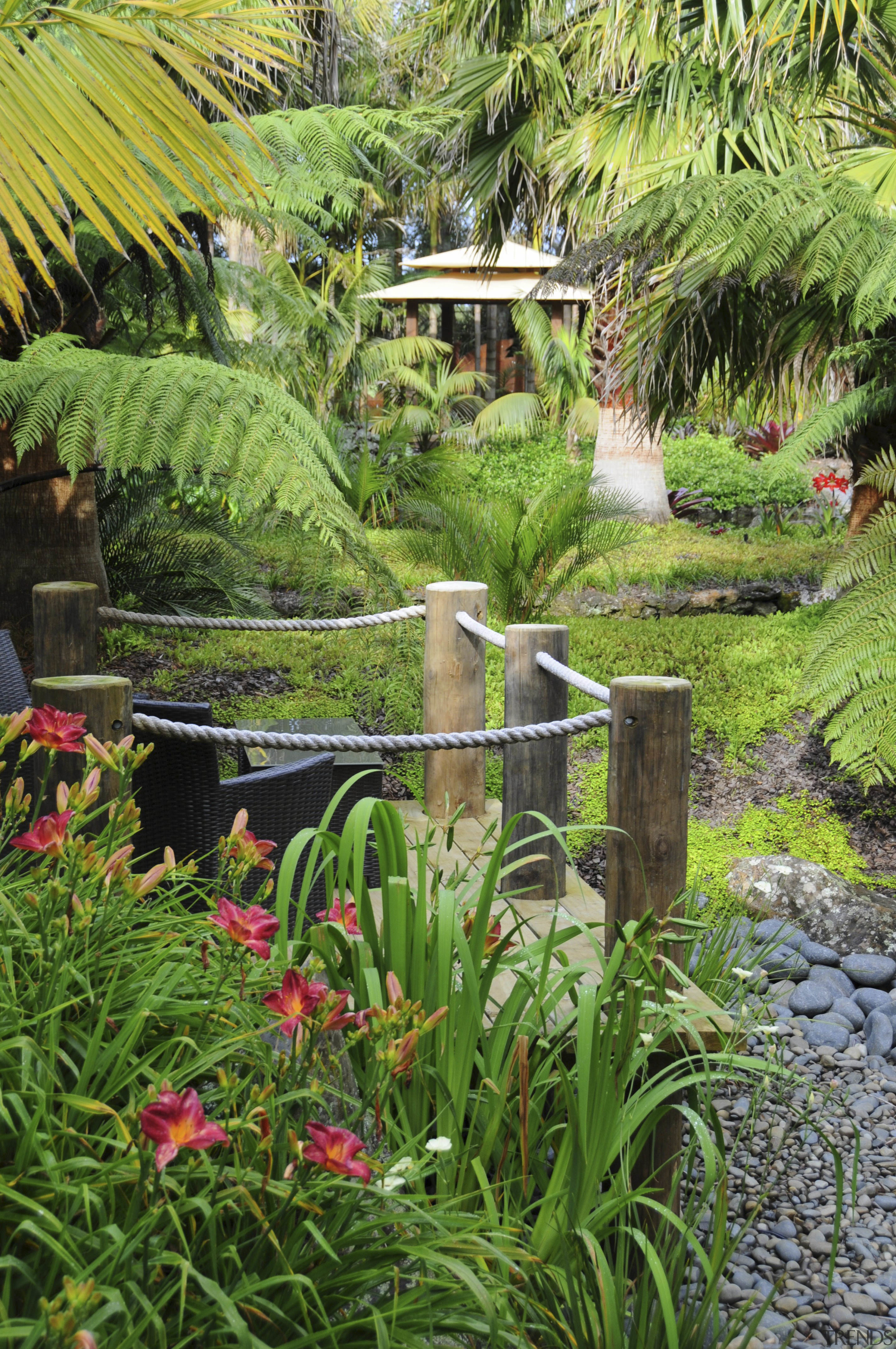 View of a landscaped garden designed by Adam backyard, botanical garden, flora, flower, garden, grass, grass family, landscape, landscaping, leaf, plant, pond, shrub, tree, vegetation, water, water feature, yard, green
