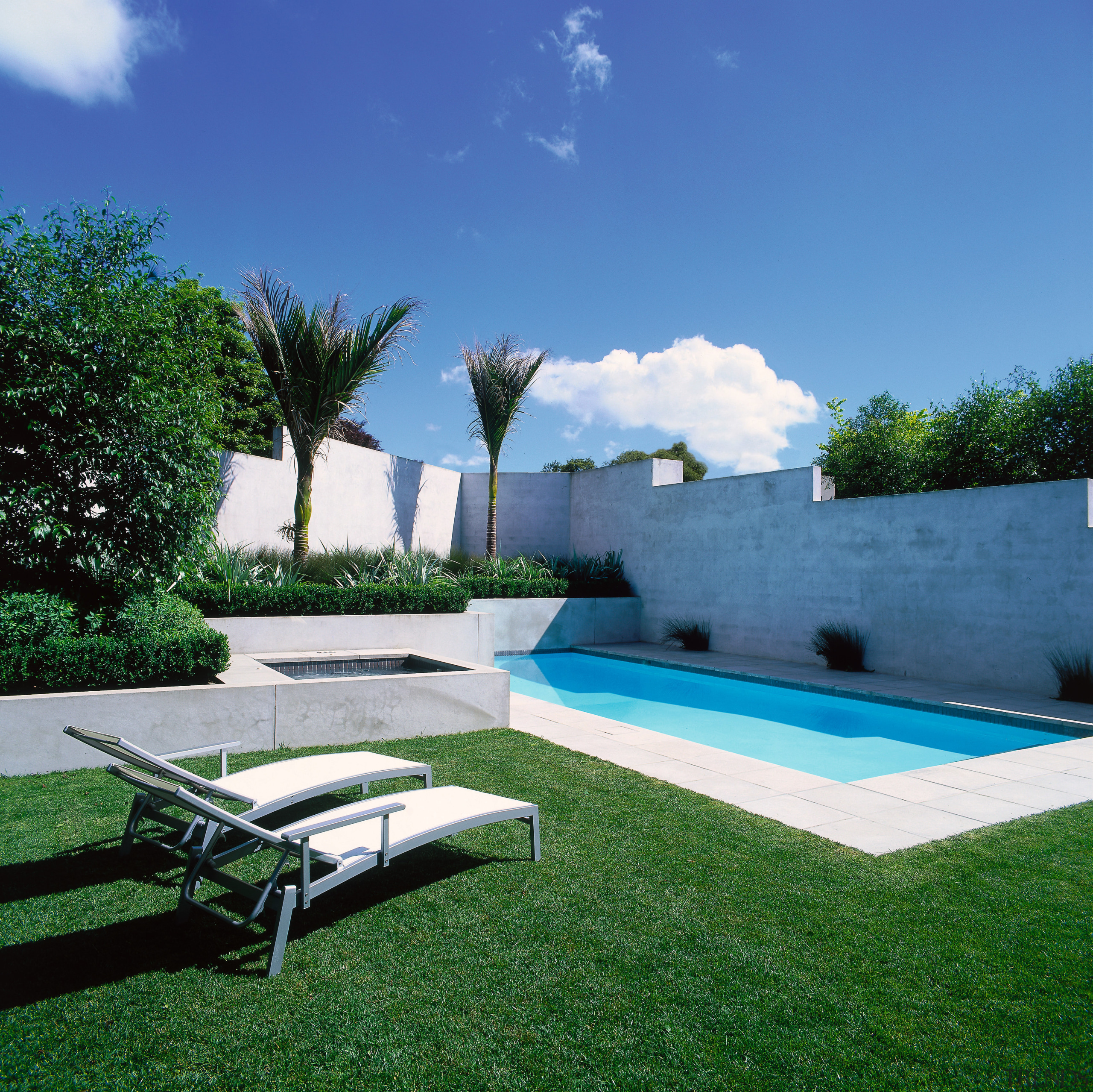 This rectangular pool is screened by concrete plaster architecture, backyard, estate, grass, hacienda, house, landscape, landscaping, lawn, leisure, outdoor furniture, plant, property, real estate, residential area, sky, sunlounger, swimming pool, villa, yard, blue