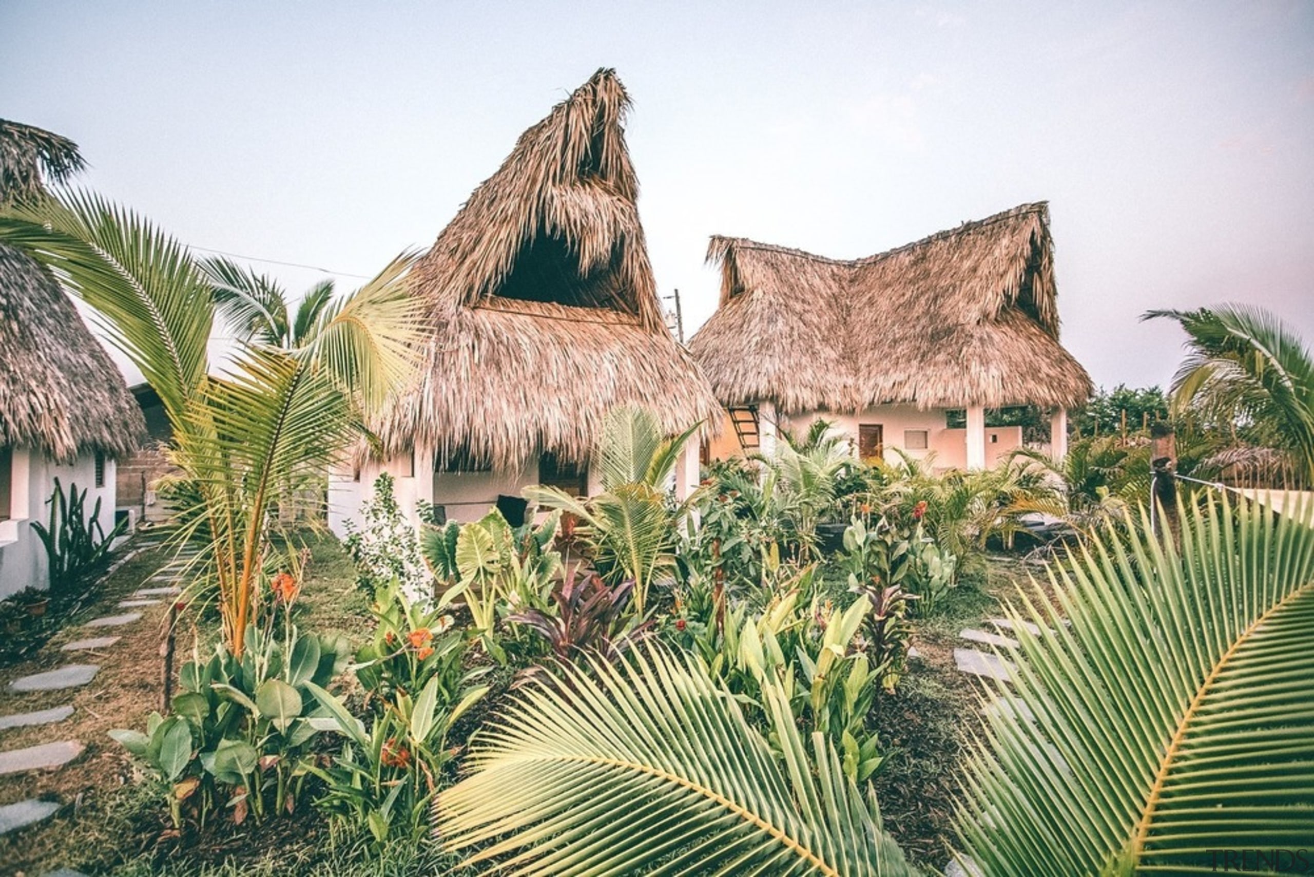 The lush gardens that permeate Swell inspire an architecture, arecales, attalea speciosa, building, hut, landscape, palm tree, plant, tree, tropics, vegetation, white