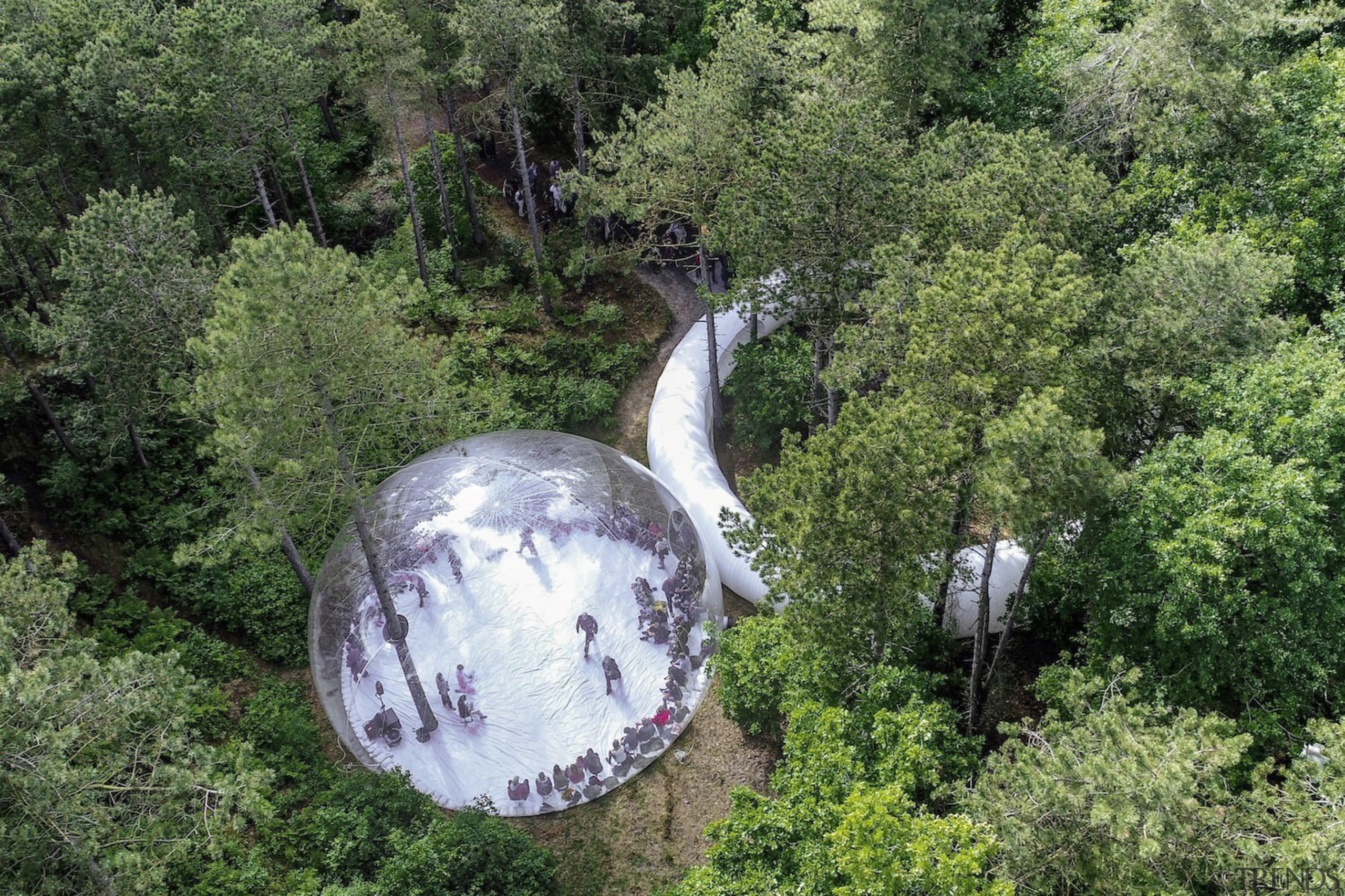 Architect: Plastique FantastiquePhotography by Marco Canevacci, Jelte plant, tree, water, green