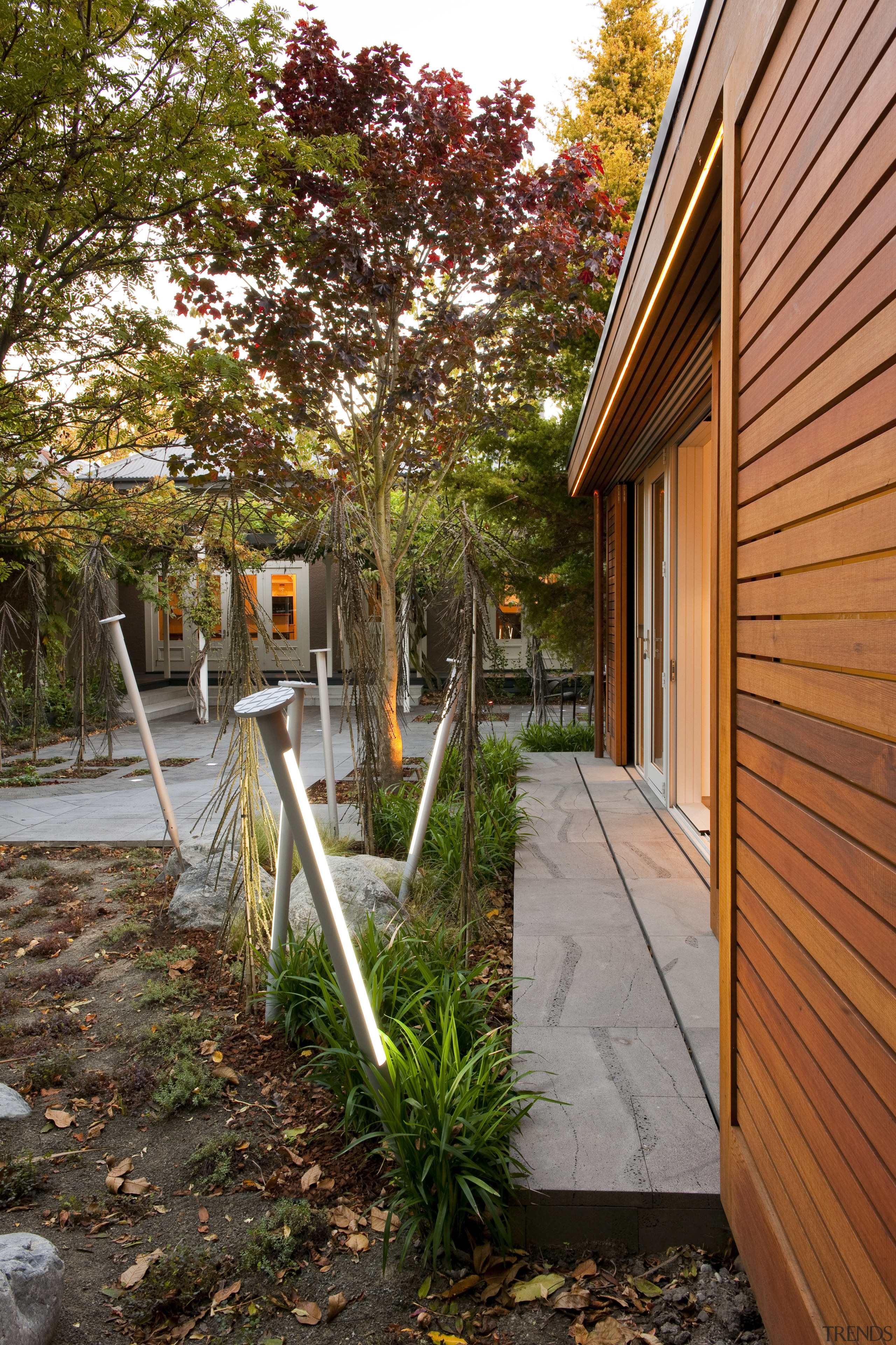 View of private courtyard which features native planting, architecture, backyard, cottage, courtyard, home, house, leaf, outdoor structure, plant, porch, real estate, residential area, siding, tree, walkway, yard, brown