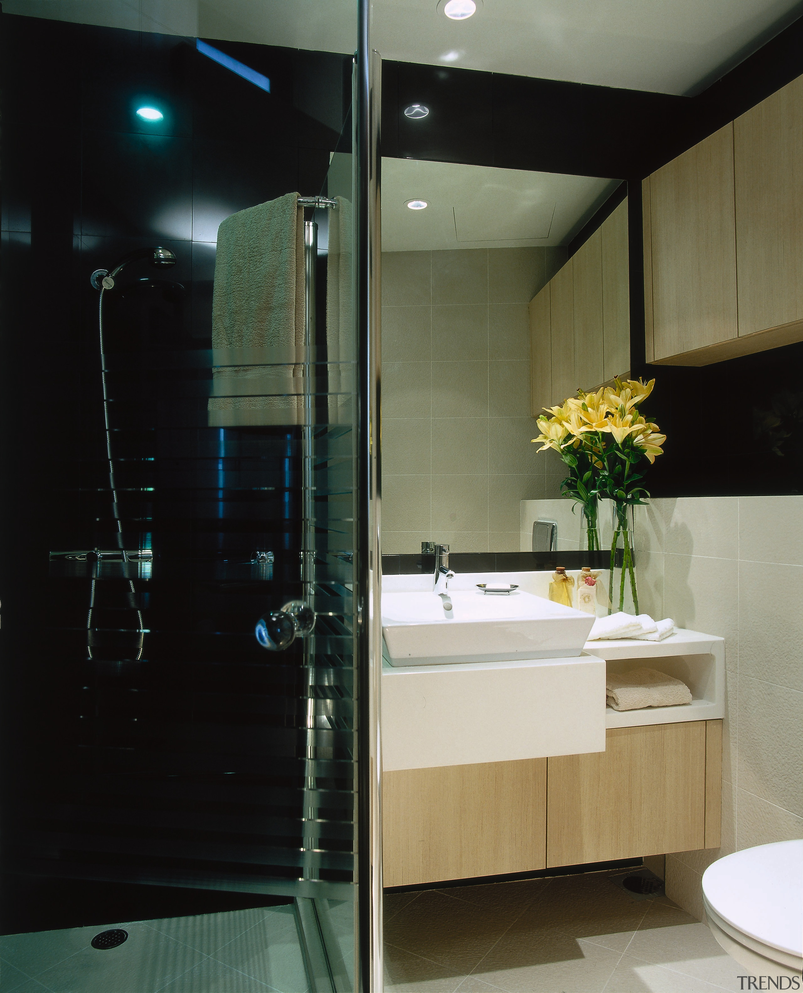 The view of a bathroom - The view architecture, bathroom, glass, interior design, room, black