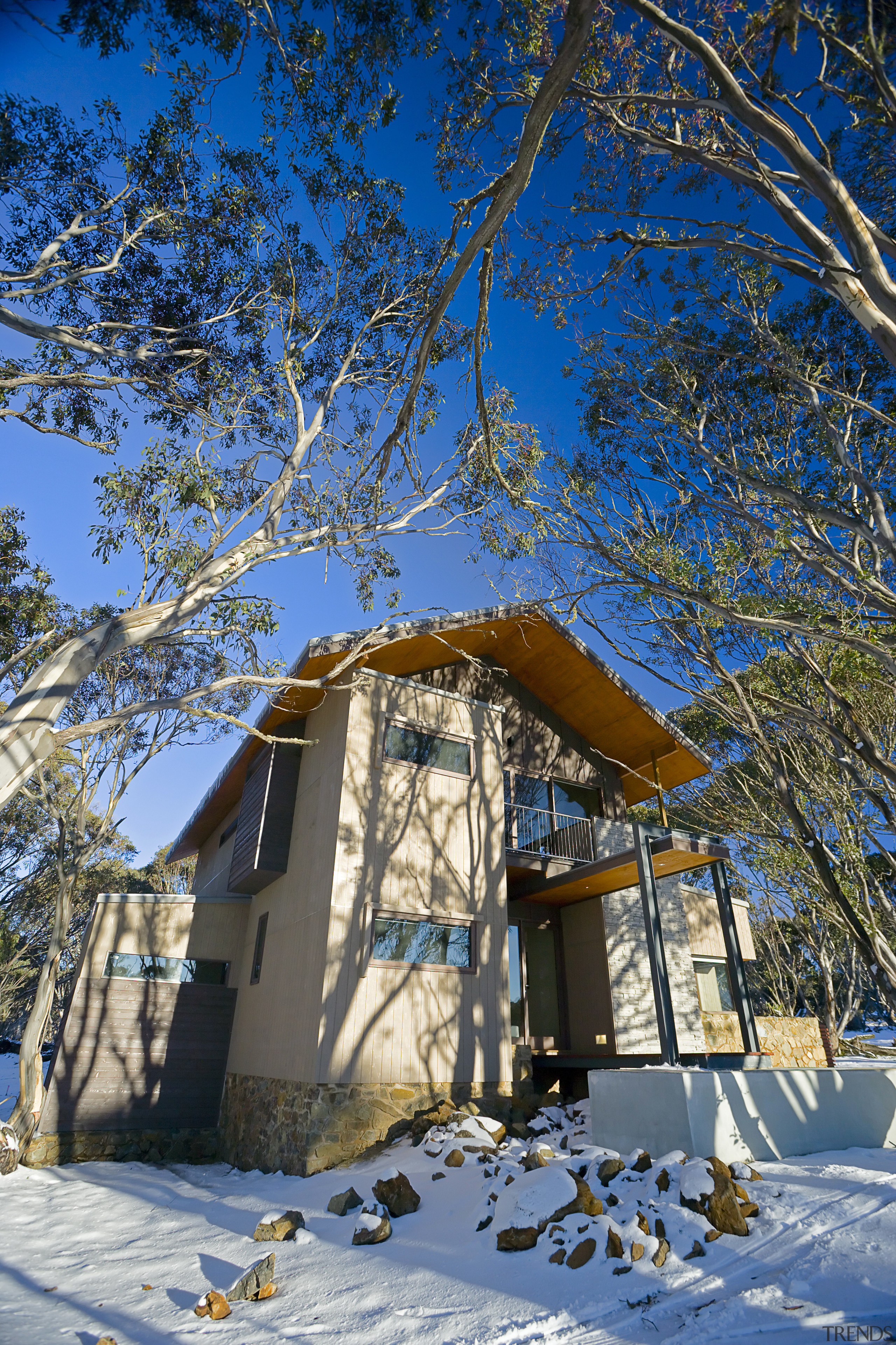 Exterior view of house, cladding, roofing, landscaping. architecture, branch, building, cottage, facade, freezing, home, house, plant, residential area, sky, snow, tree, winter, wood, woody plant, blue