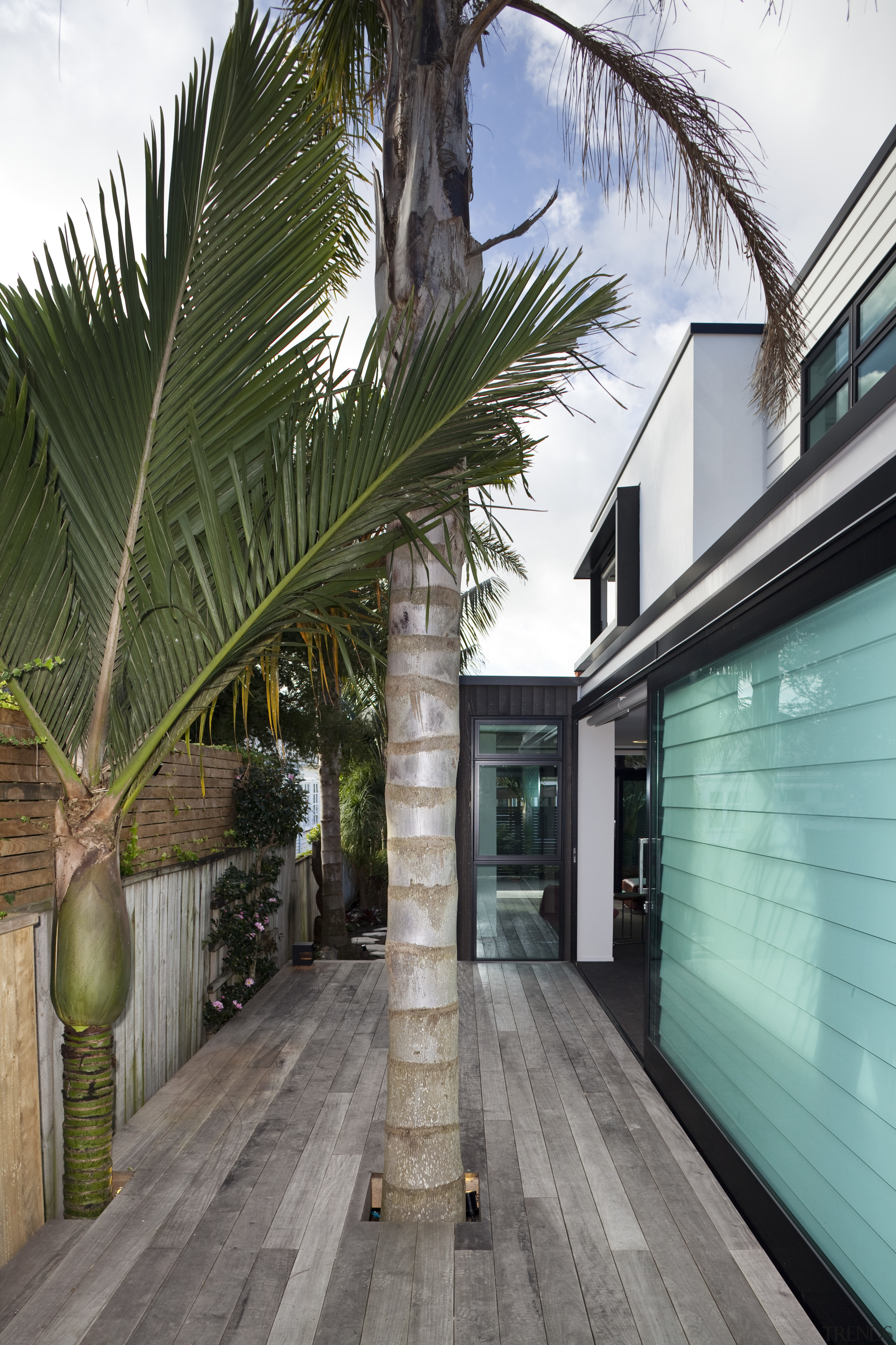 This new house was designed by Richard Furze architecture, arecales, home, house, outdoor structure, palm tree, plant, property, real estate