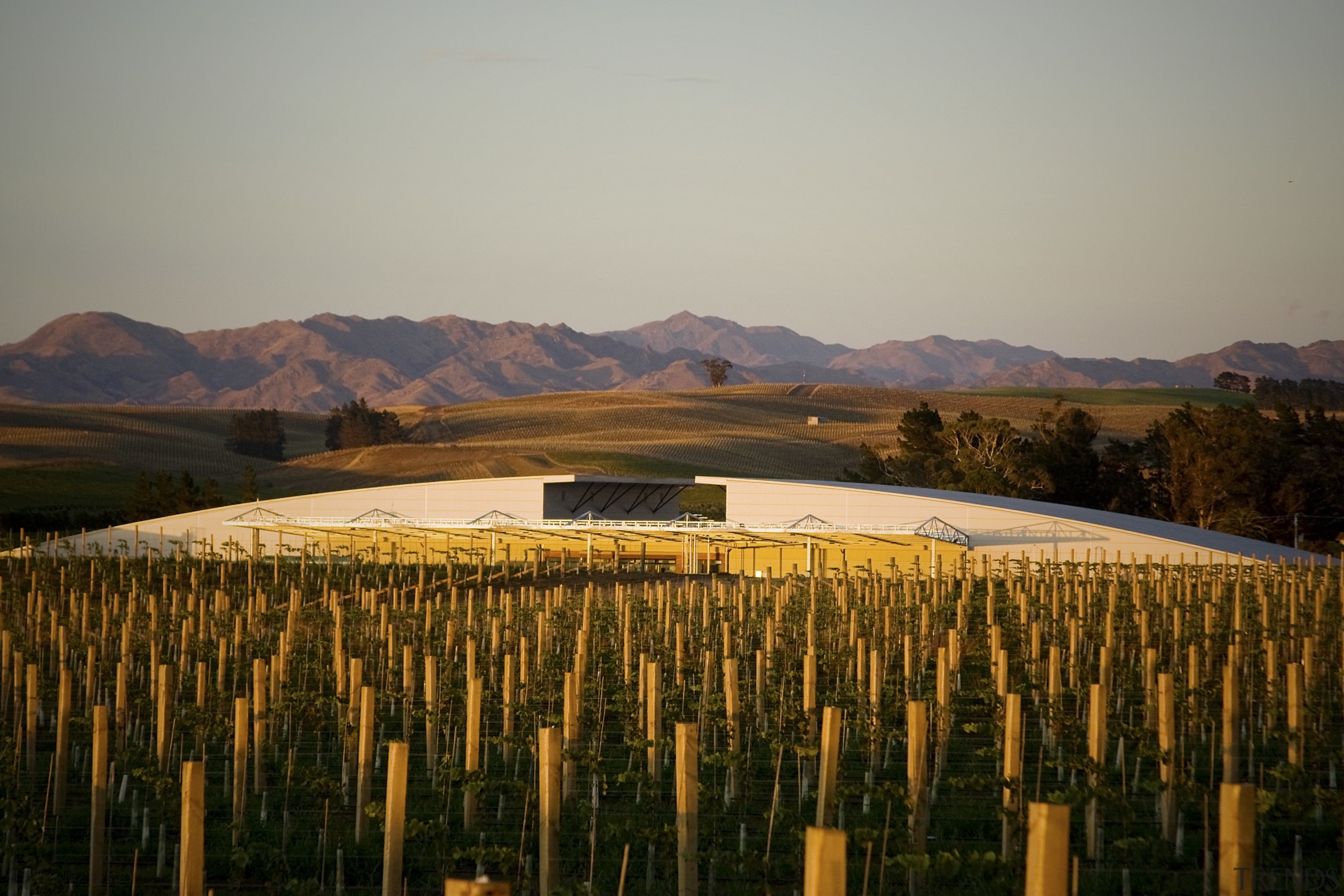 Exterior view of the Yealands Estate winery which agriculture, evening, field, hill, landscape, morning, mountain, plain, reflection, rural area, sky, sunlight, tree, gray, brown