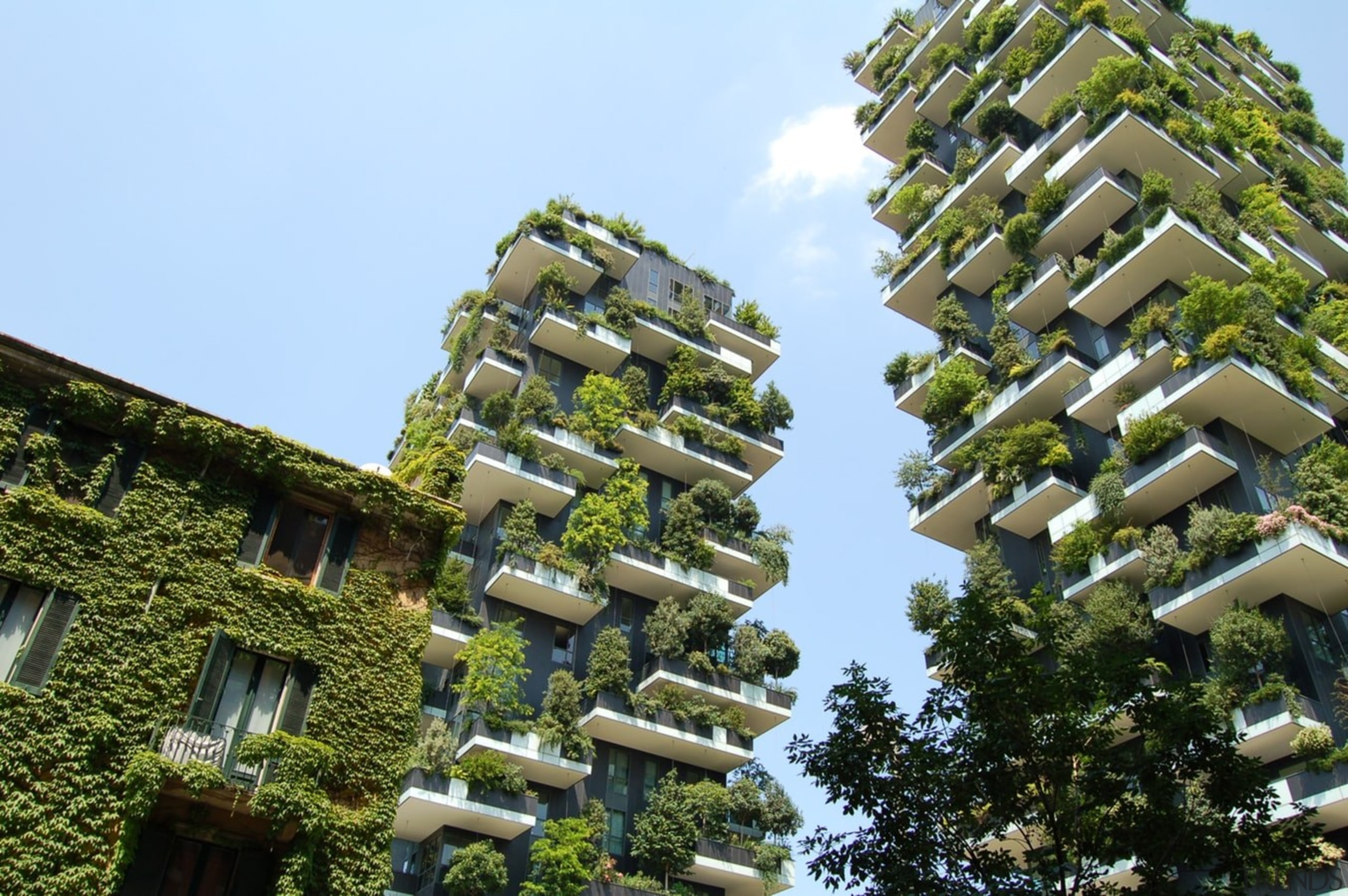 Bosco Verticale in Milan, Italy has been an brown, teal