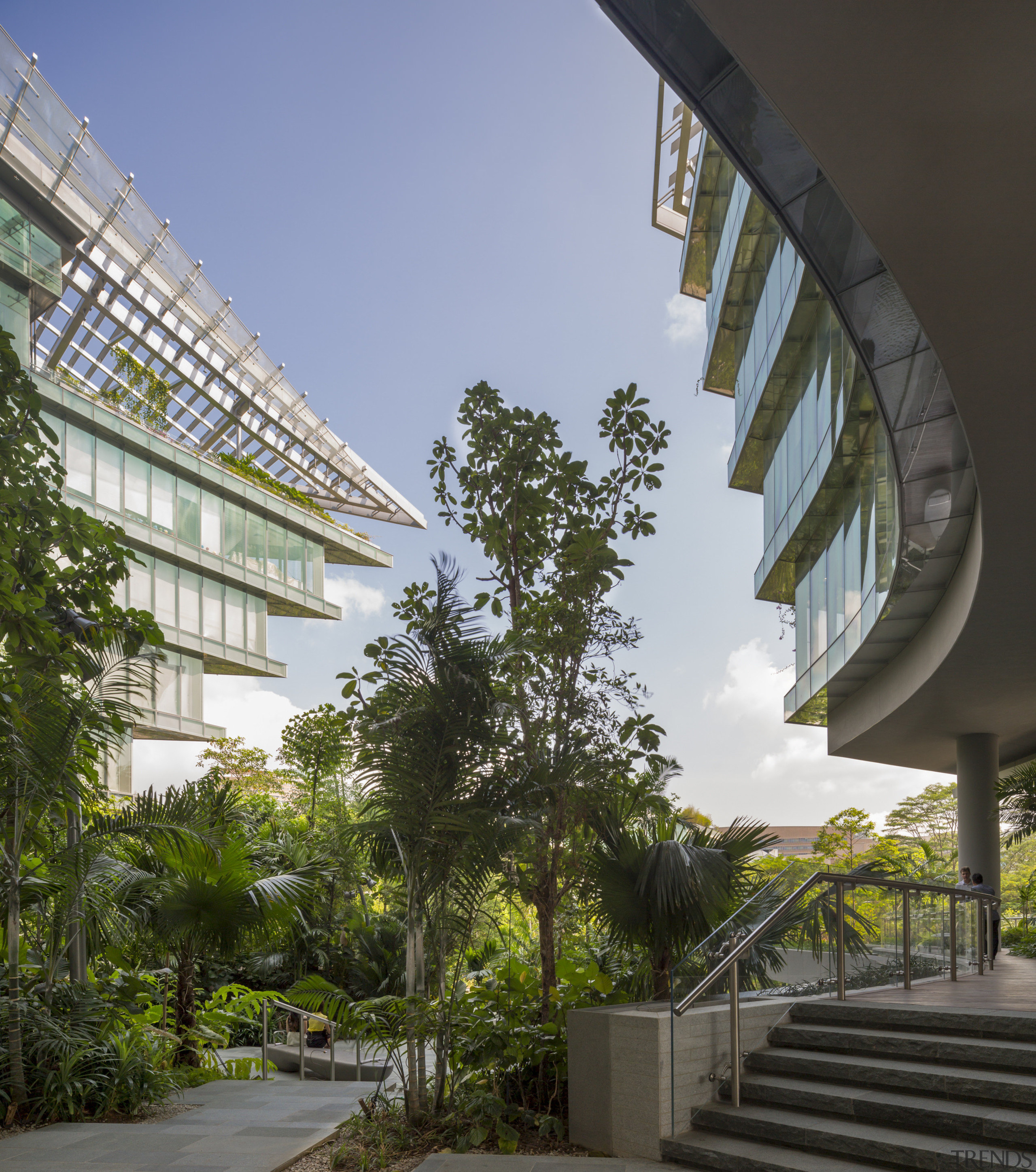 The Sandcrawler office building in Singapore has a architecture, arecales, building, condominium, daytime, house, mixed use, palm tree, real estate, sky, tree, urban design, black