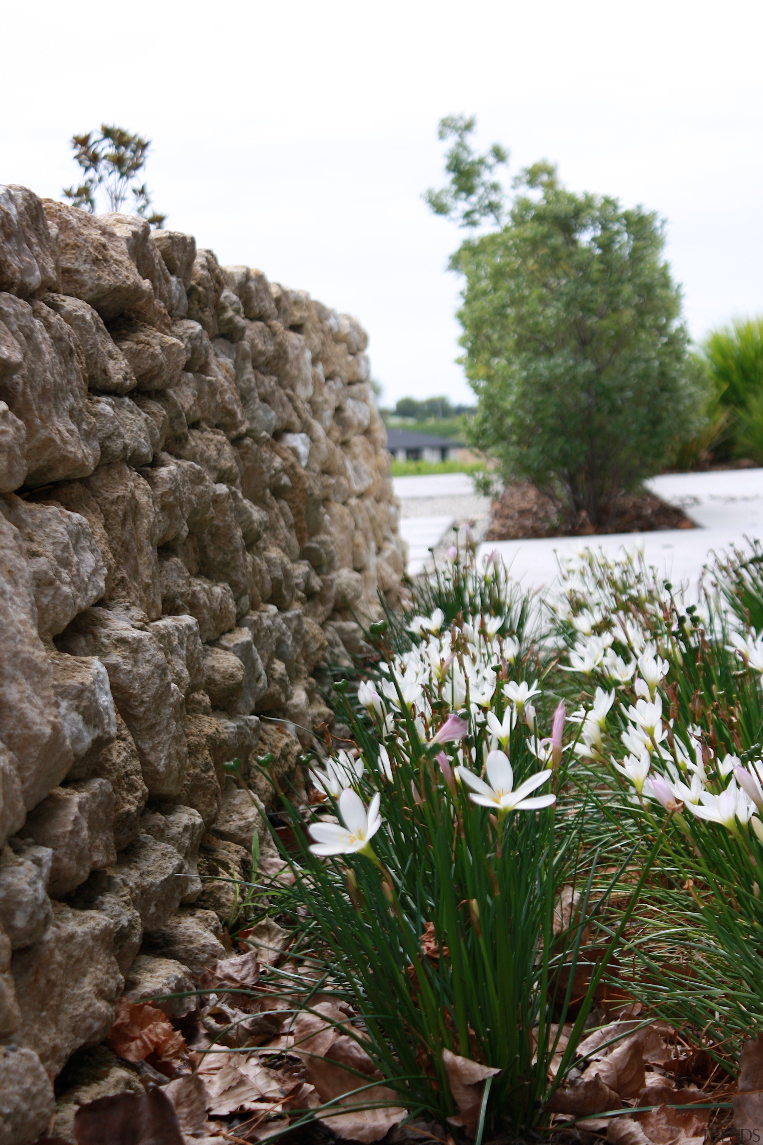 The repetition of Limestone walling continues around the 