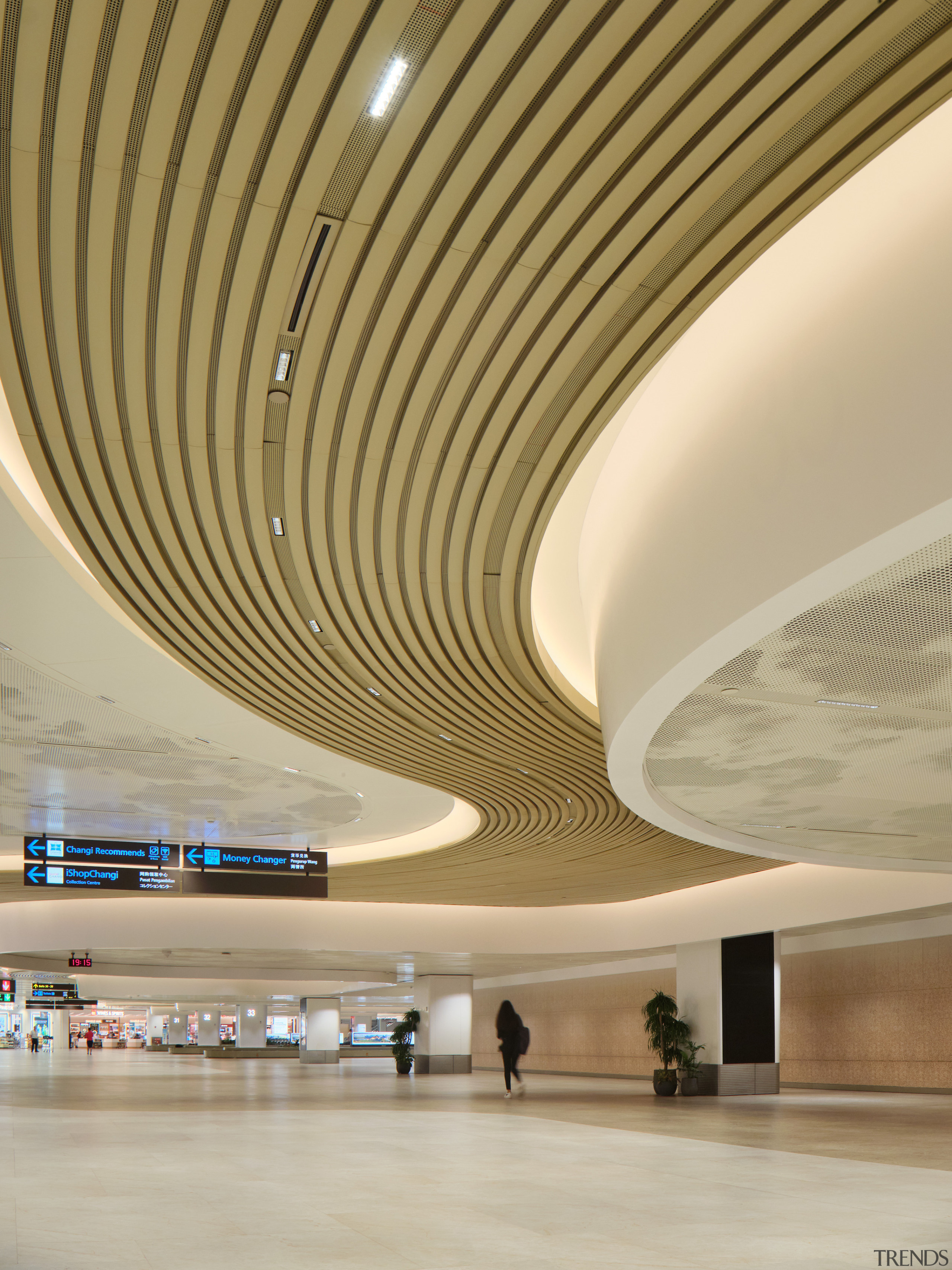 Curvaceous ceiling elements conceal the practical cold, hard 