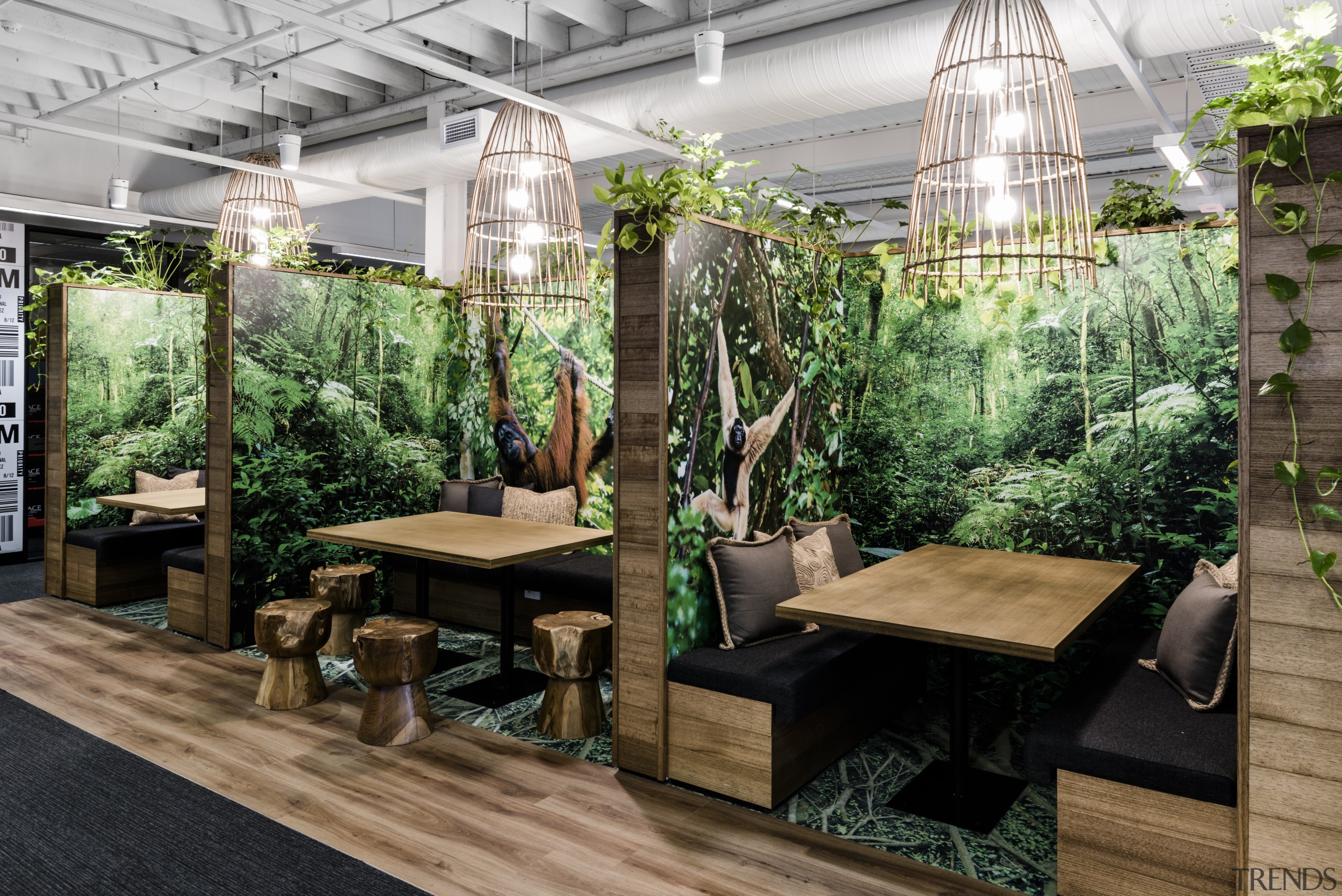 Collaboration Booths, or just hangin around booths  furniture, houseplant, interior design, outdoor structure, plant