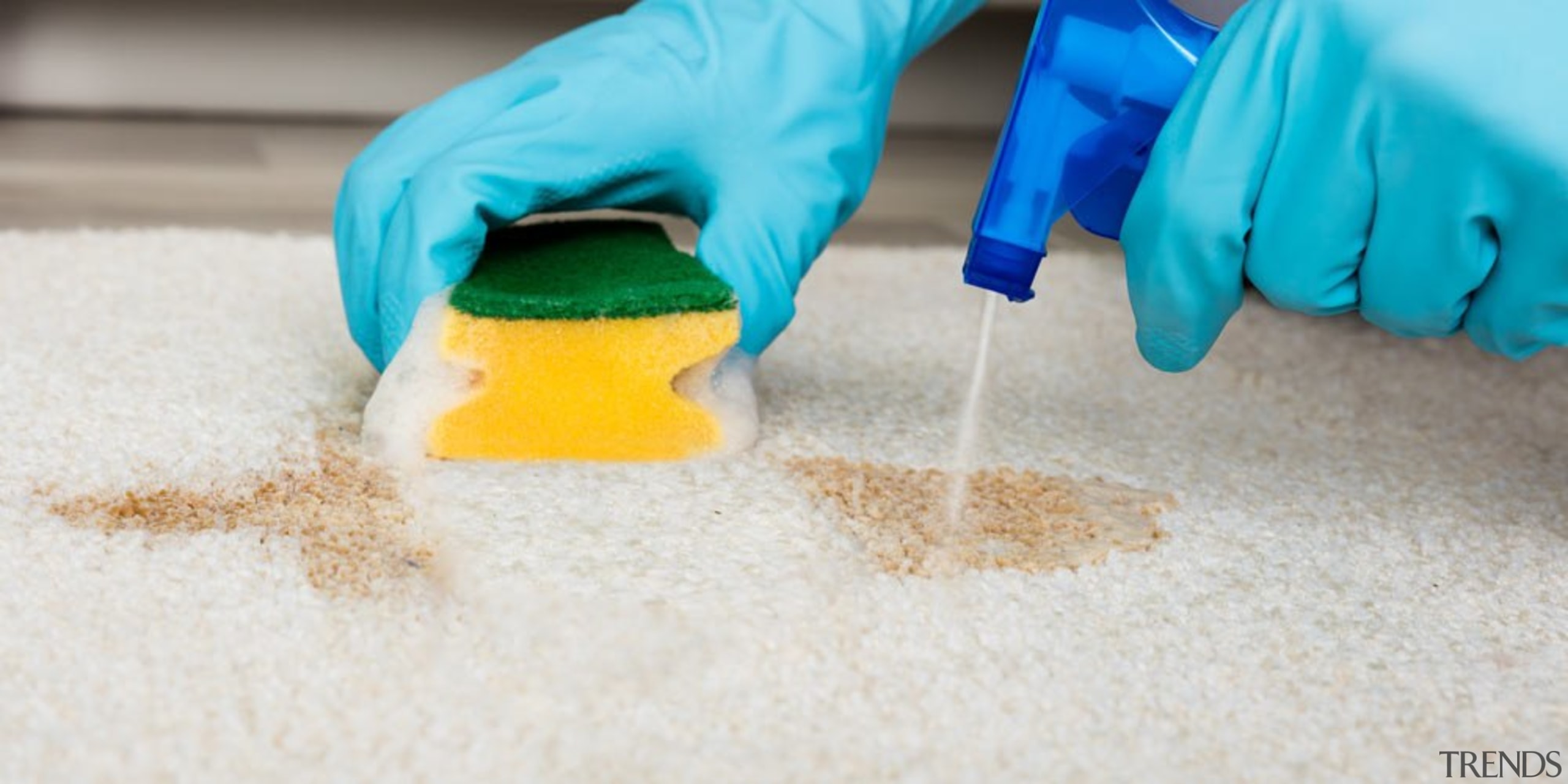 Enzymatic carpet cleaners contain harmless bacteria and enzymes 