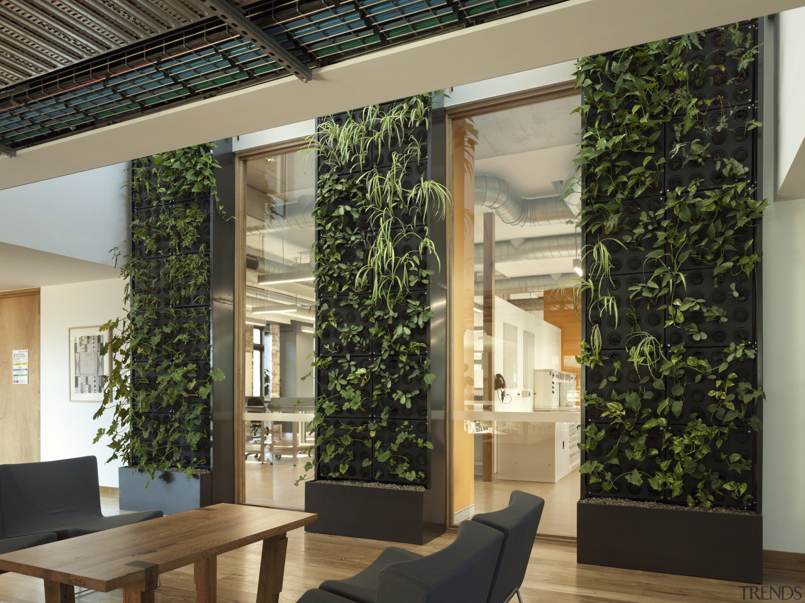 A living wall in the centre of the interior design, window, black